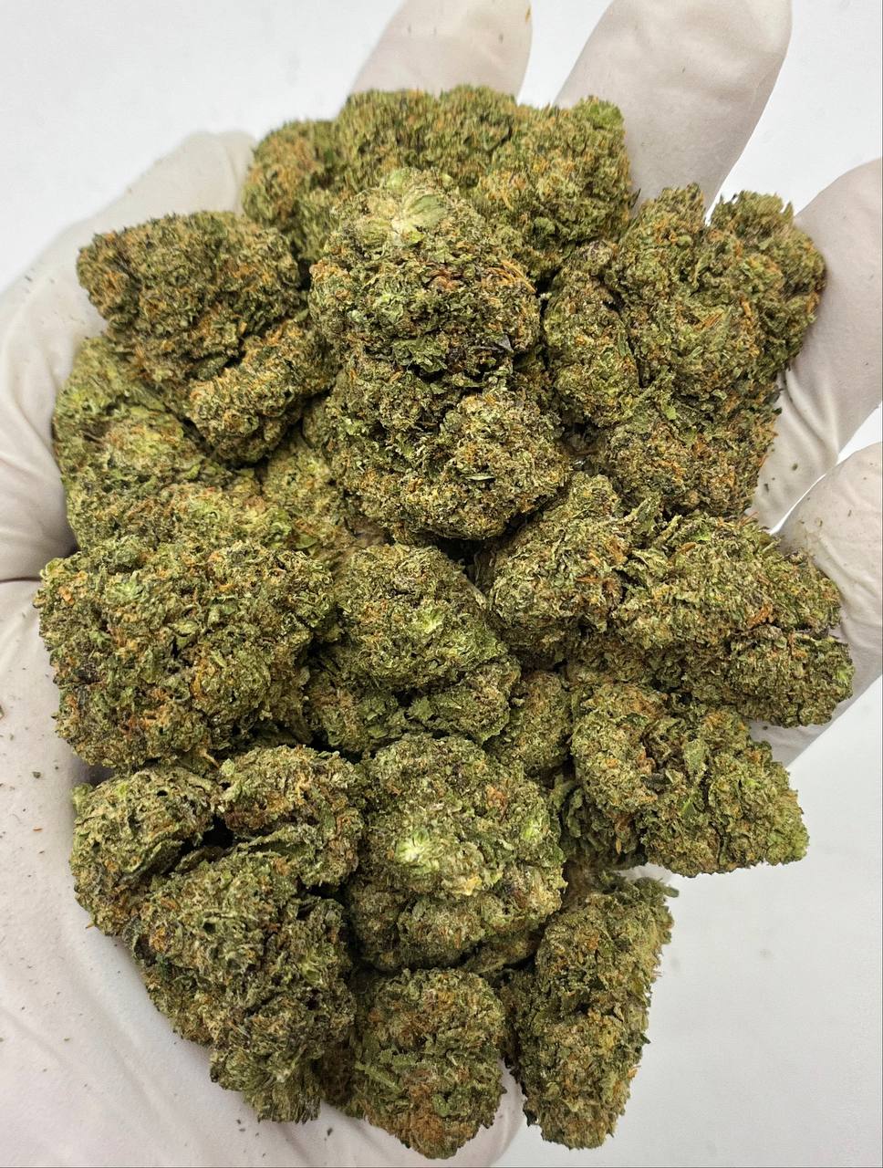 Bubba Kush - Damn Good | Legal Cannabis