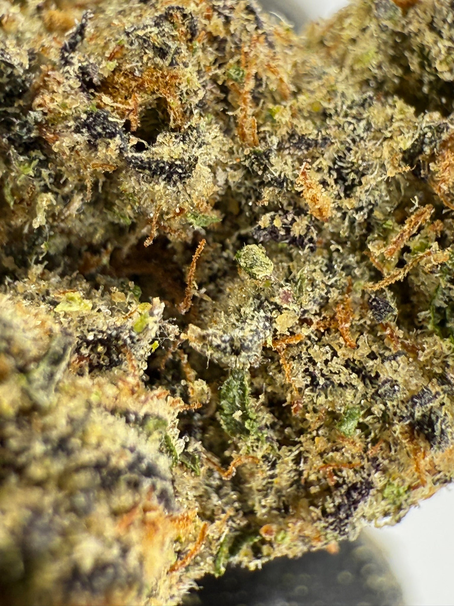 Candy Gas - Damn Good | Legal Cannabis