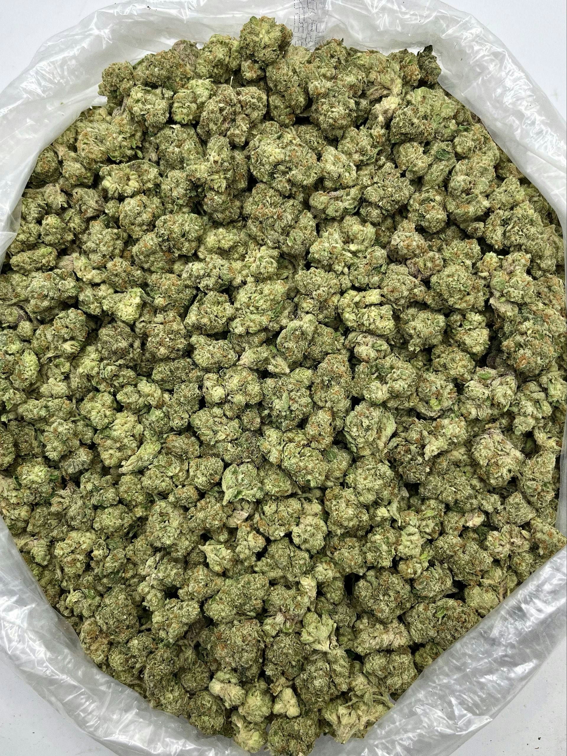 Candy Jack - Damn Good | Legal Cannabis