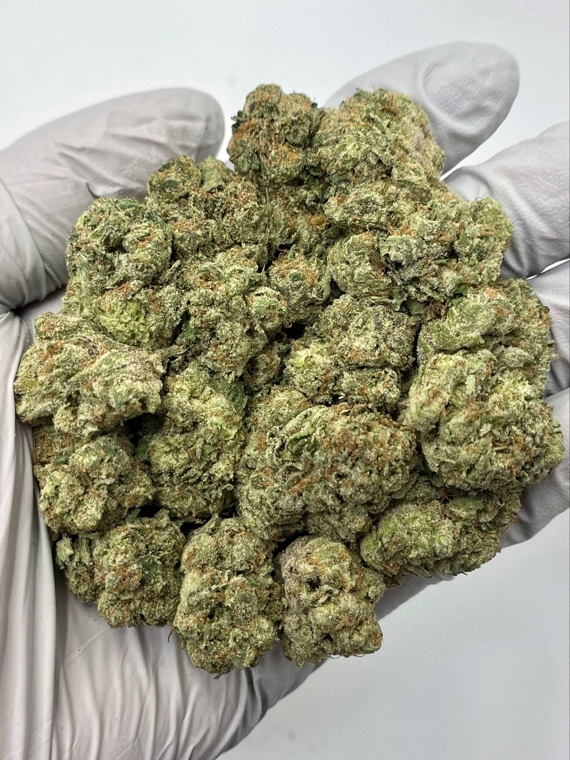 Candy Jack - Damn Good | Legal Cannabis