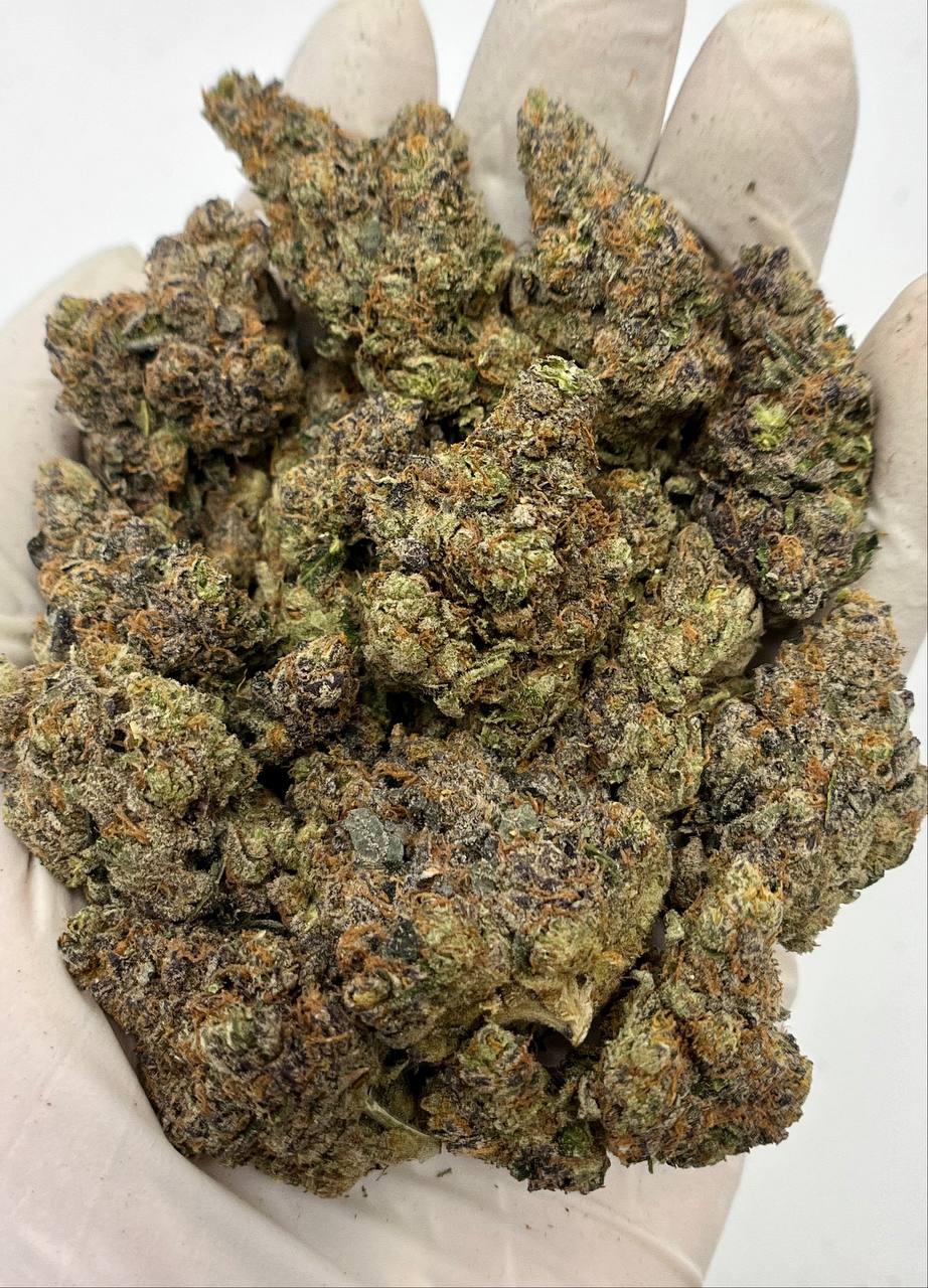 Caribbean Queen - Damn Good | Legal Cannabis