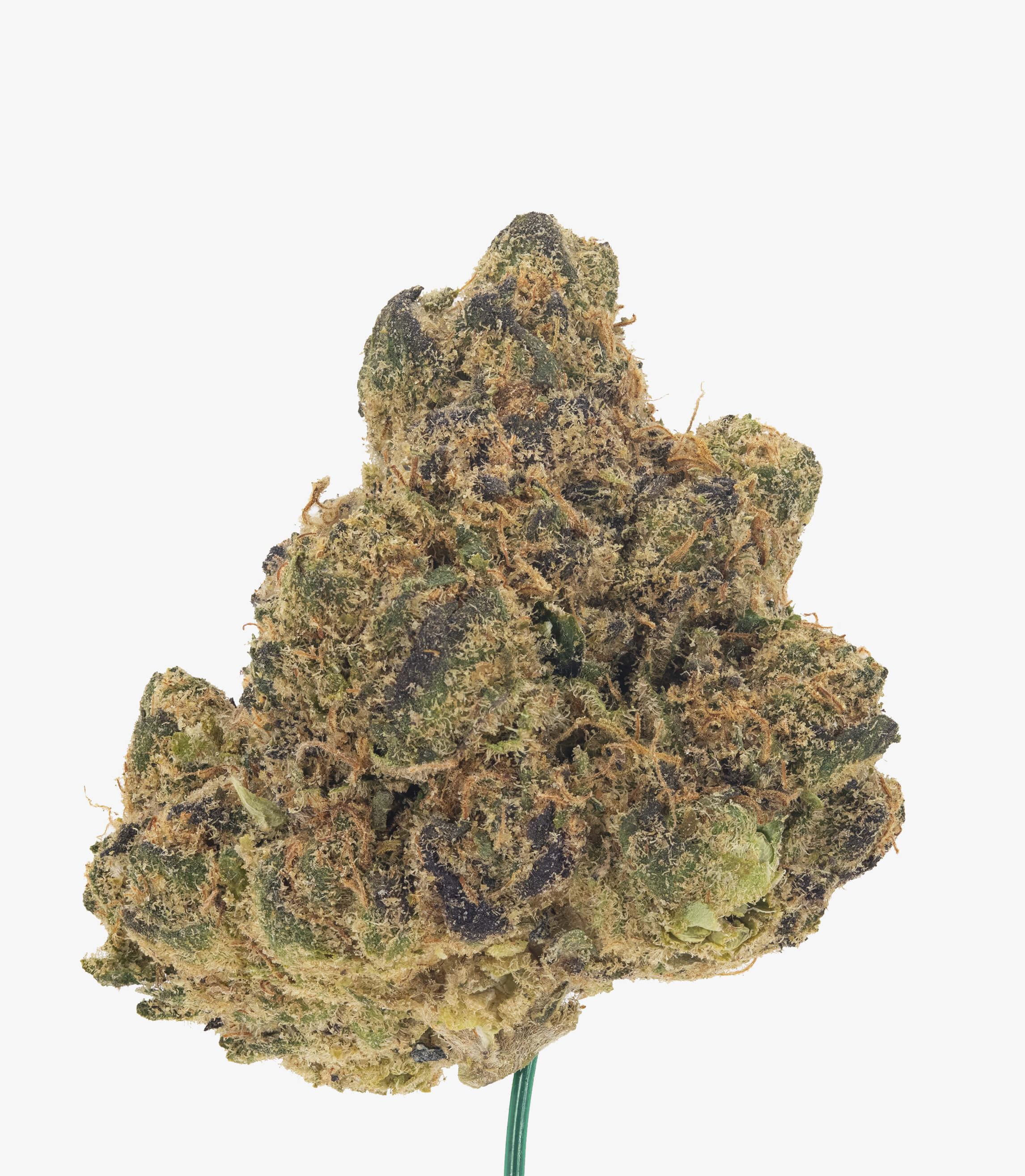 Cherry Gelato - Damn Good | Legal Cannabis