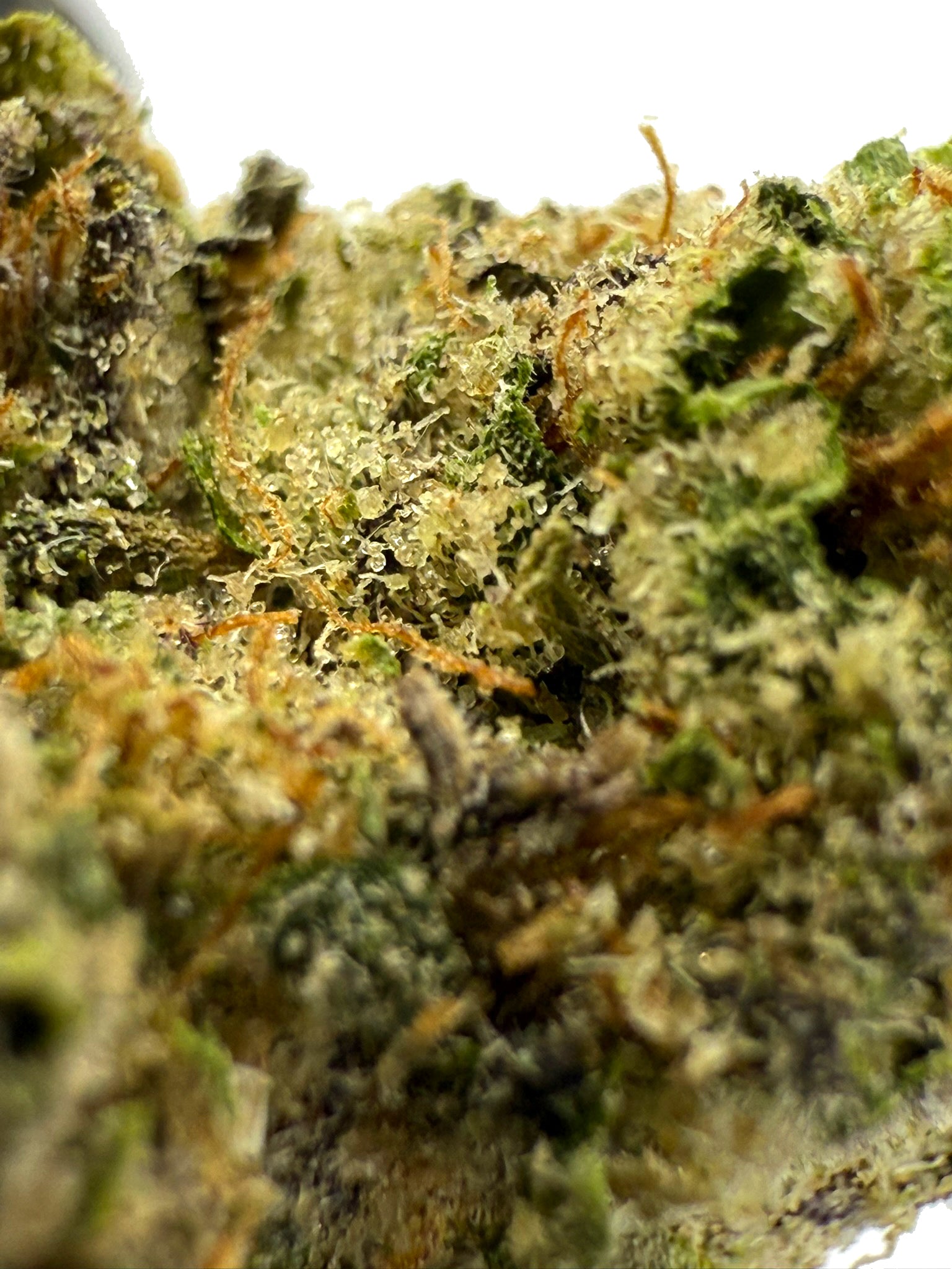 Cherry Ice - Damn Good | Legal Cannabis