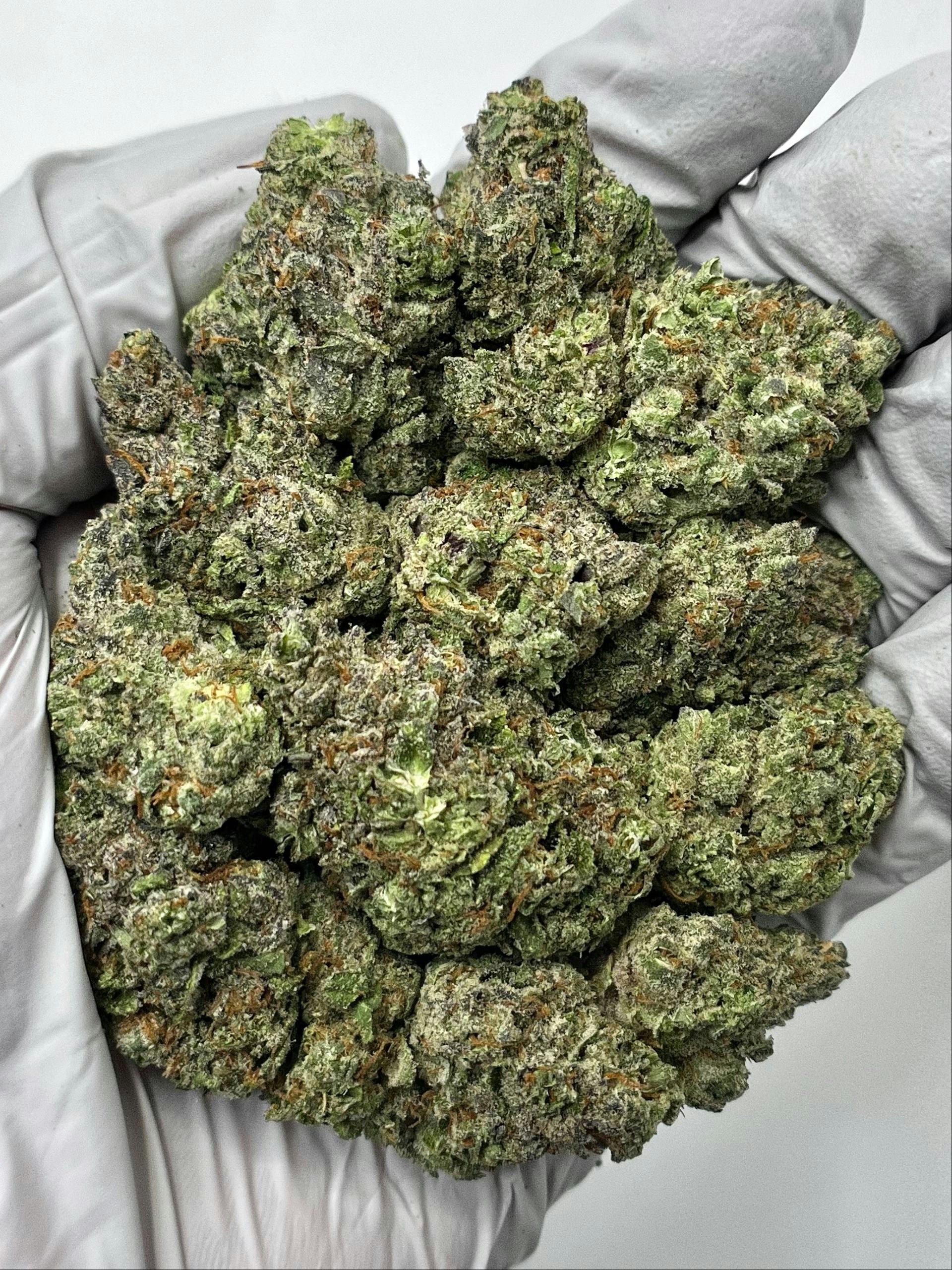 Citrus Runtz Meltz - Damn Good | Legal Cannabis