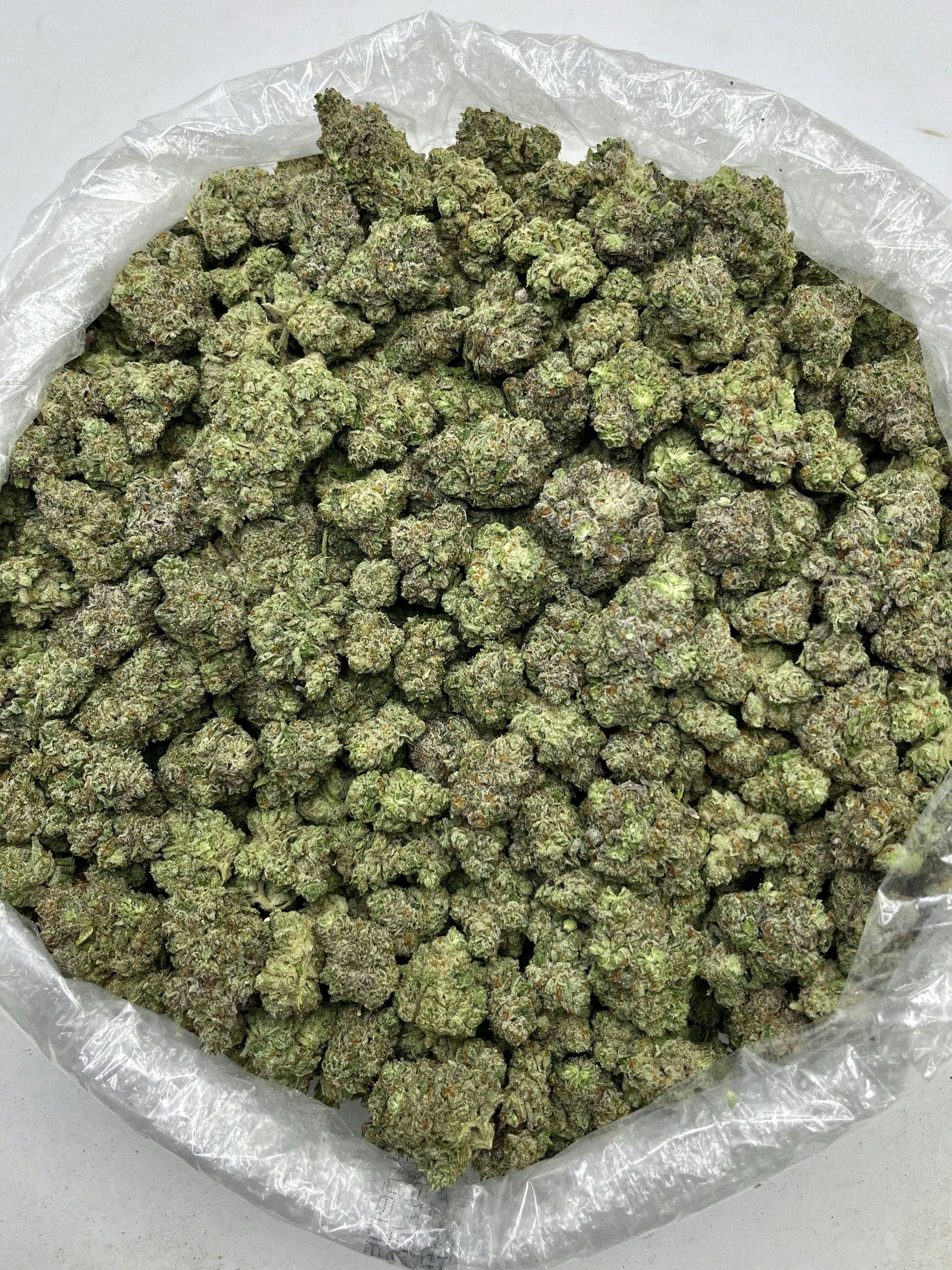 Citrus Runtz Meltz - Damn Good | Legal Cannabis