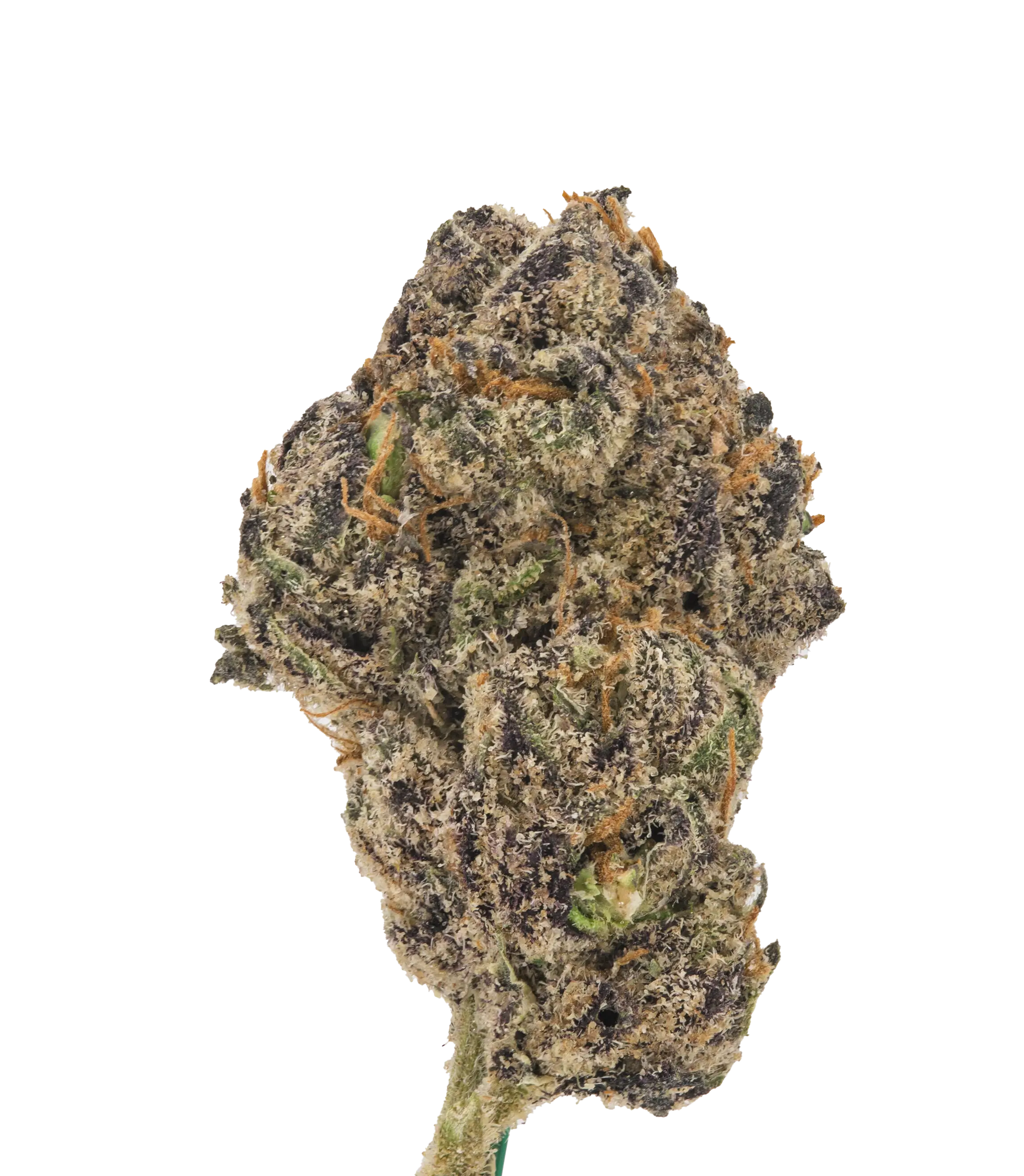 Codeine Cupz Smalls - Damn Good | Legal Cannabis