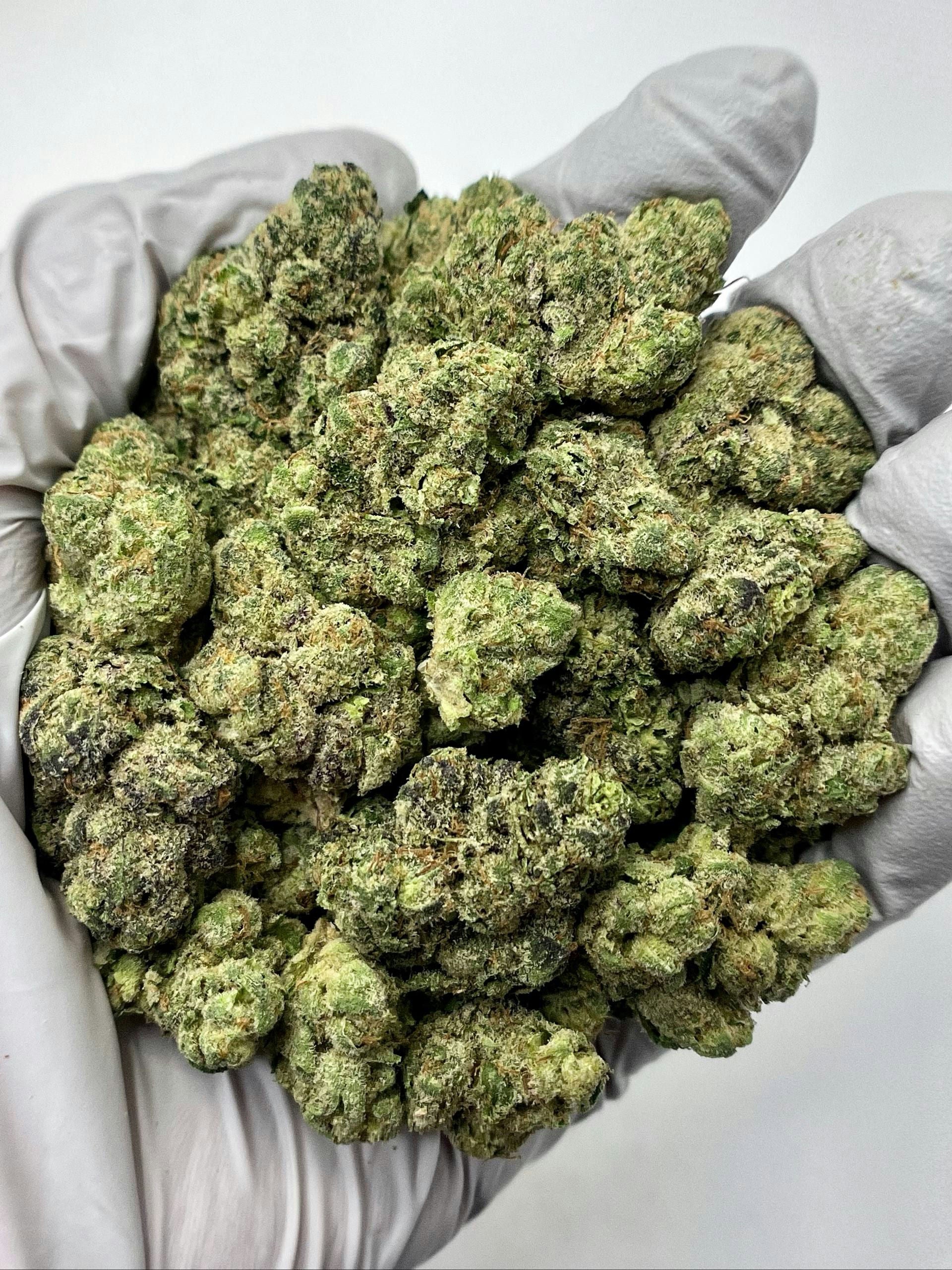 Crunch Berries - Damn Good | Legal Cannabis