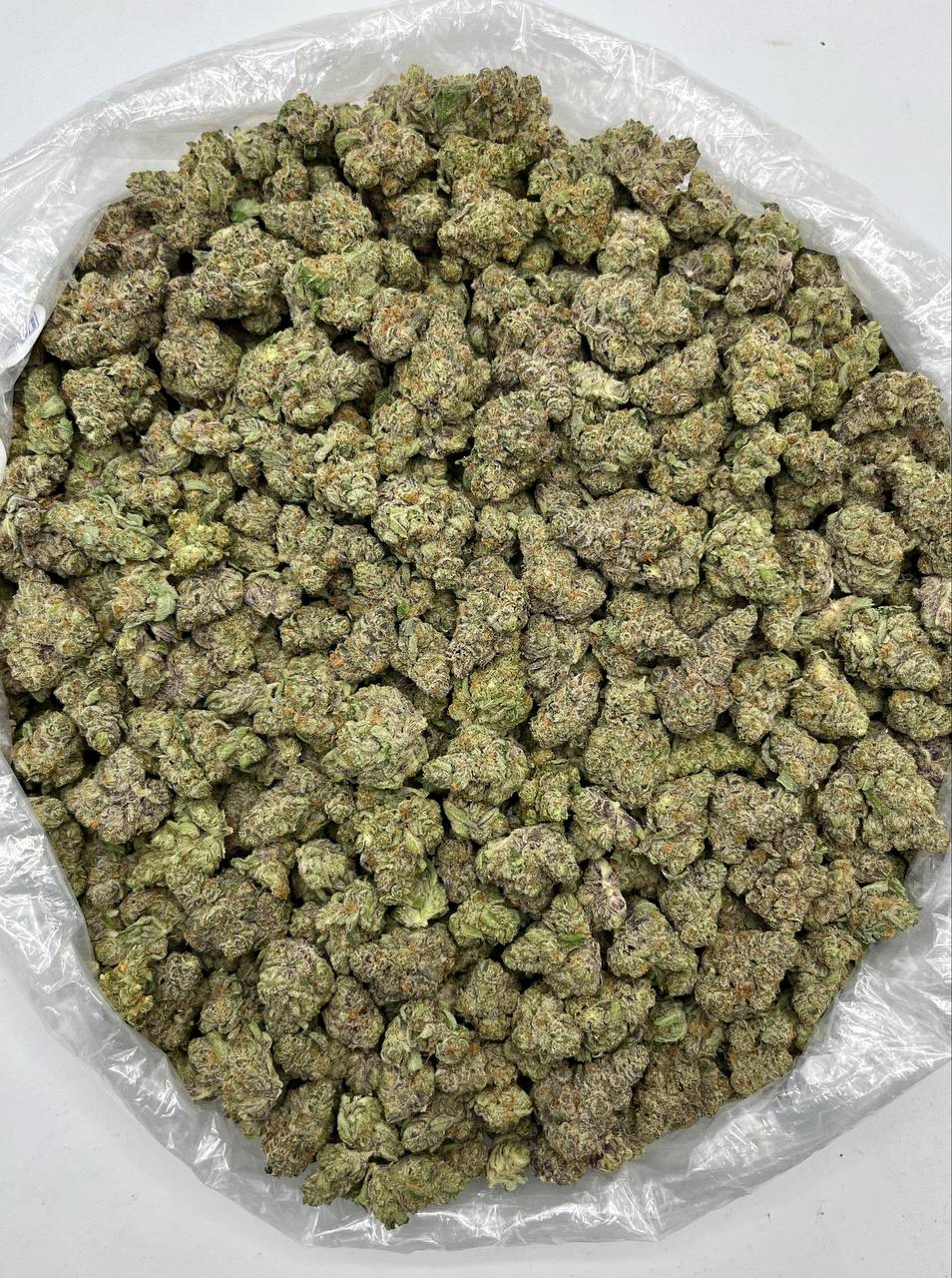 Donkey Kong - Damn Good | Legal Cannabis