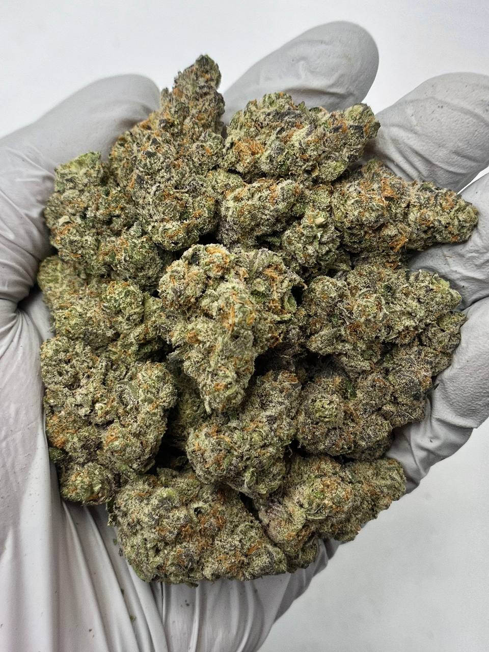 Donkey Kong - Damn Good | Legal Cannabis