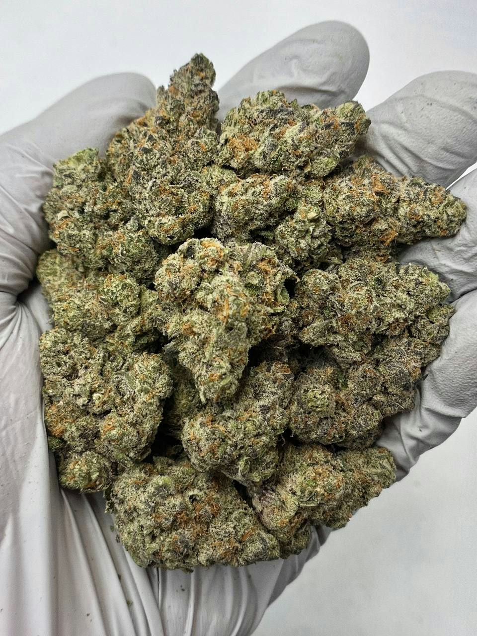 Donkey Kong - Damn Good | Legal Cannabis