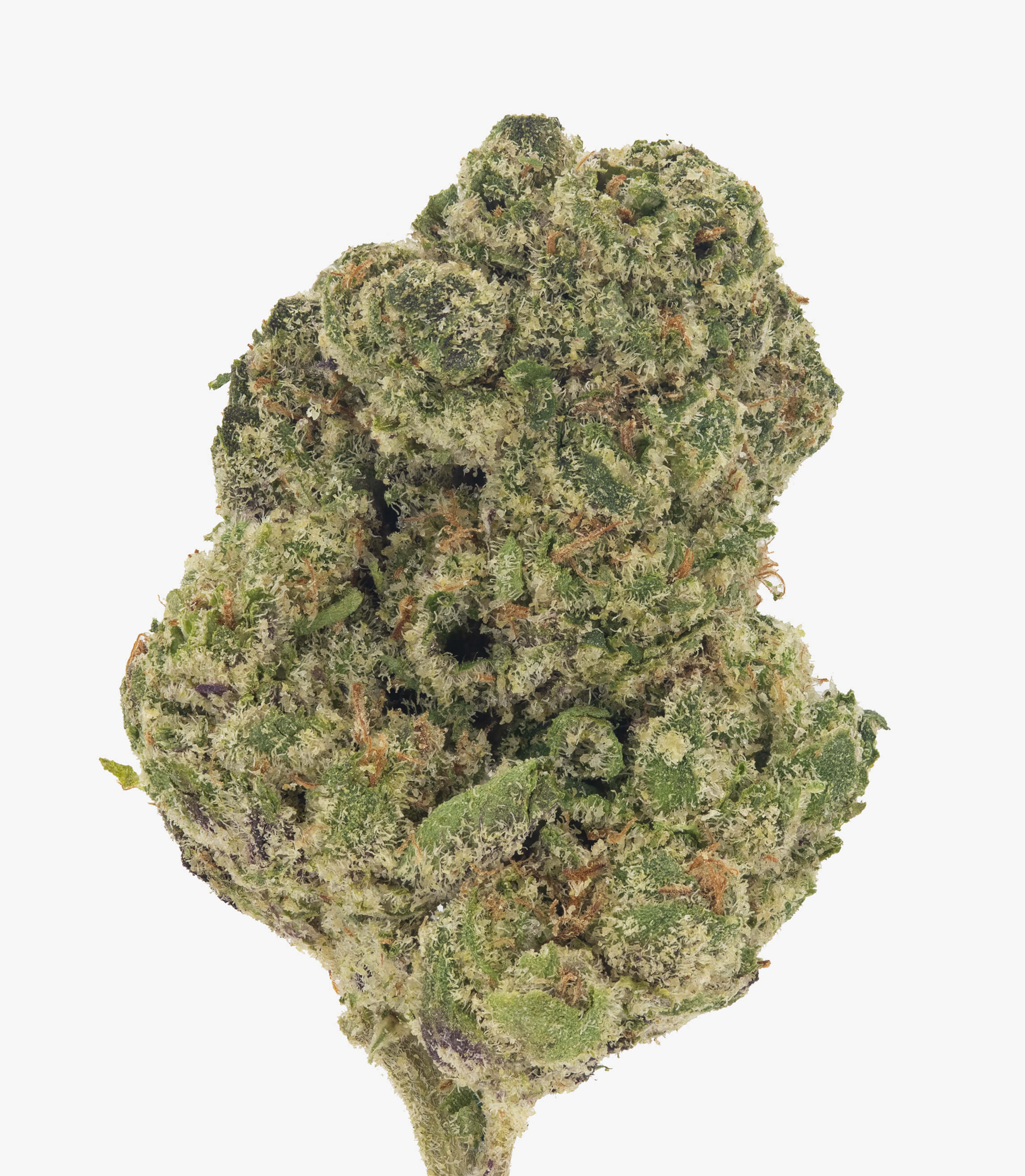 Donny Burger - Damn Good | Legal Cannabis