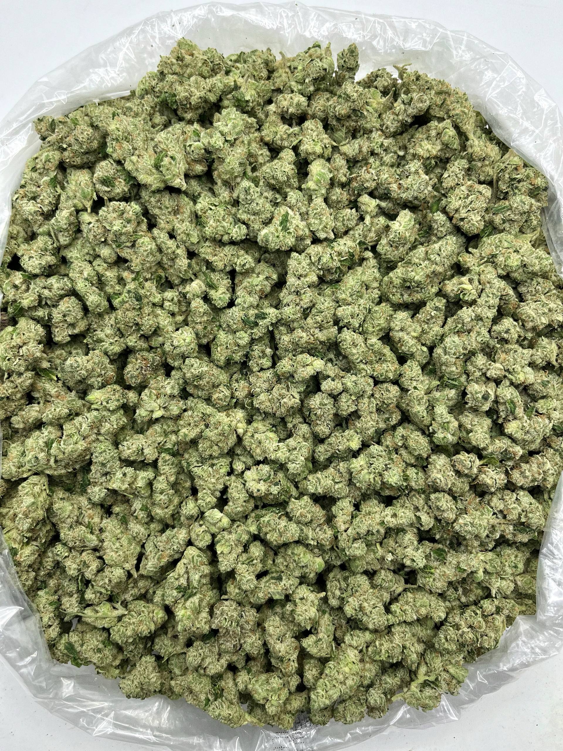 Donny Burger - Damn Good | Legal Cannabis