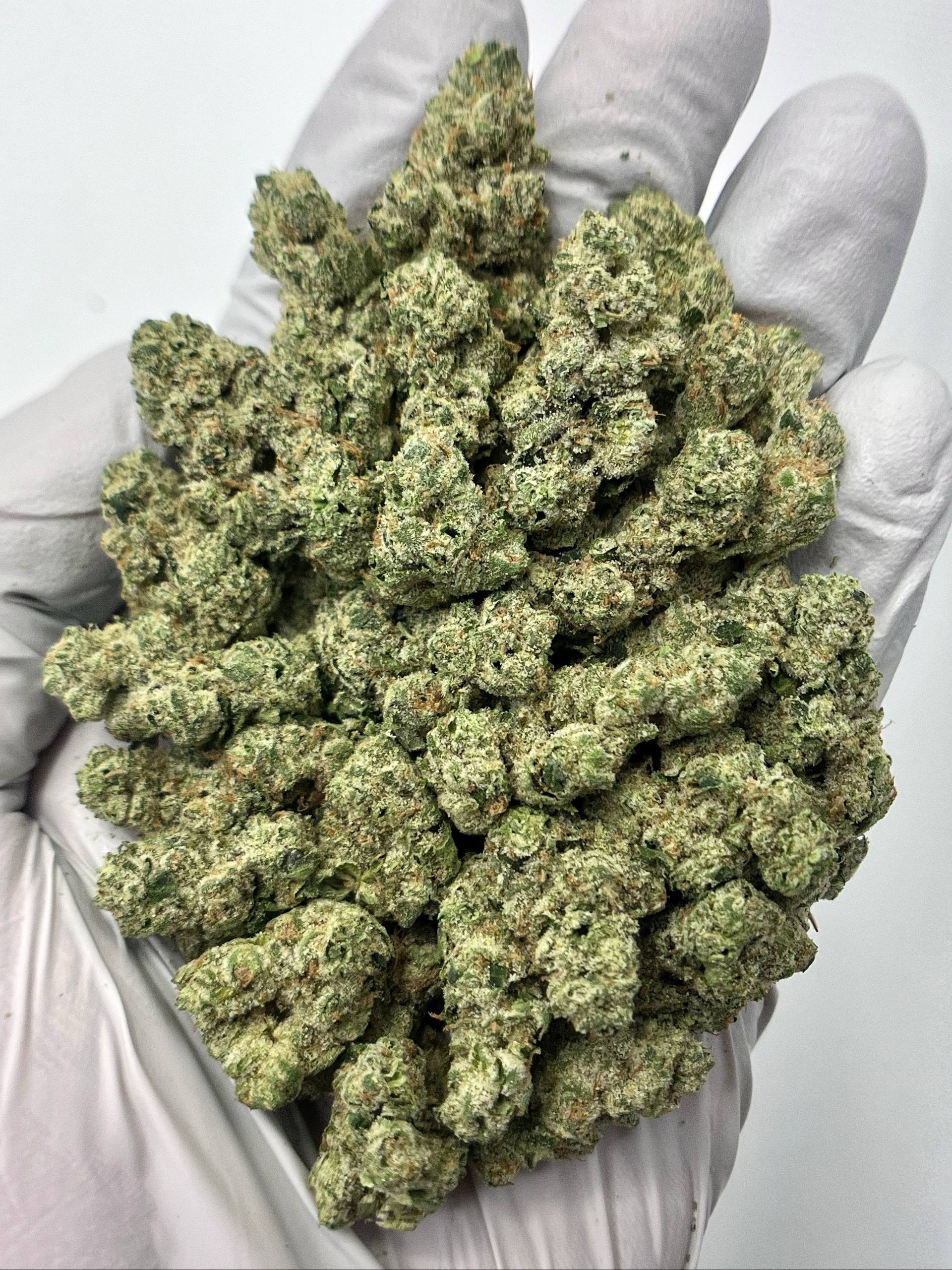 Donny Burger - Damn Good | Legal Cannabis