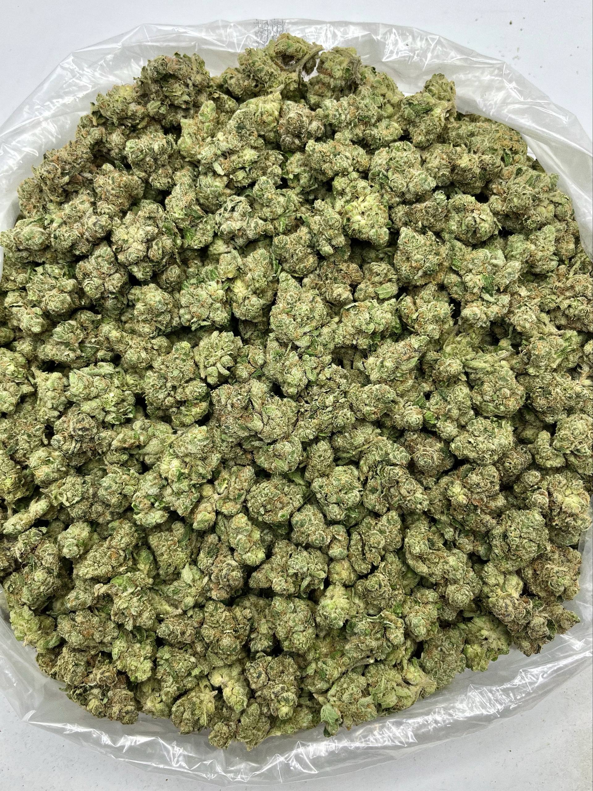 Gelato 41 x Animal Mintz - Damn Good | Legal Cannabis