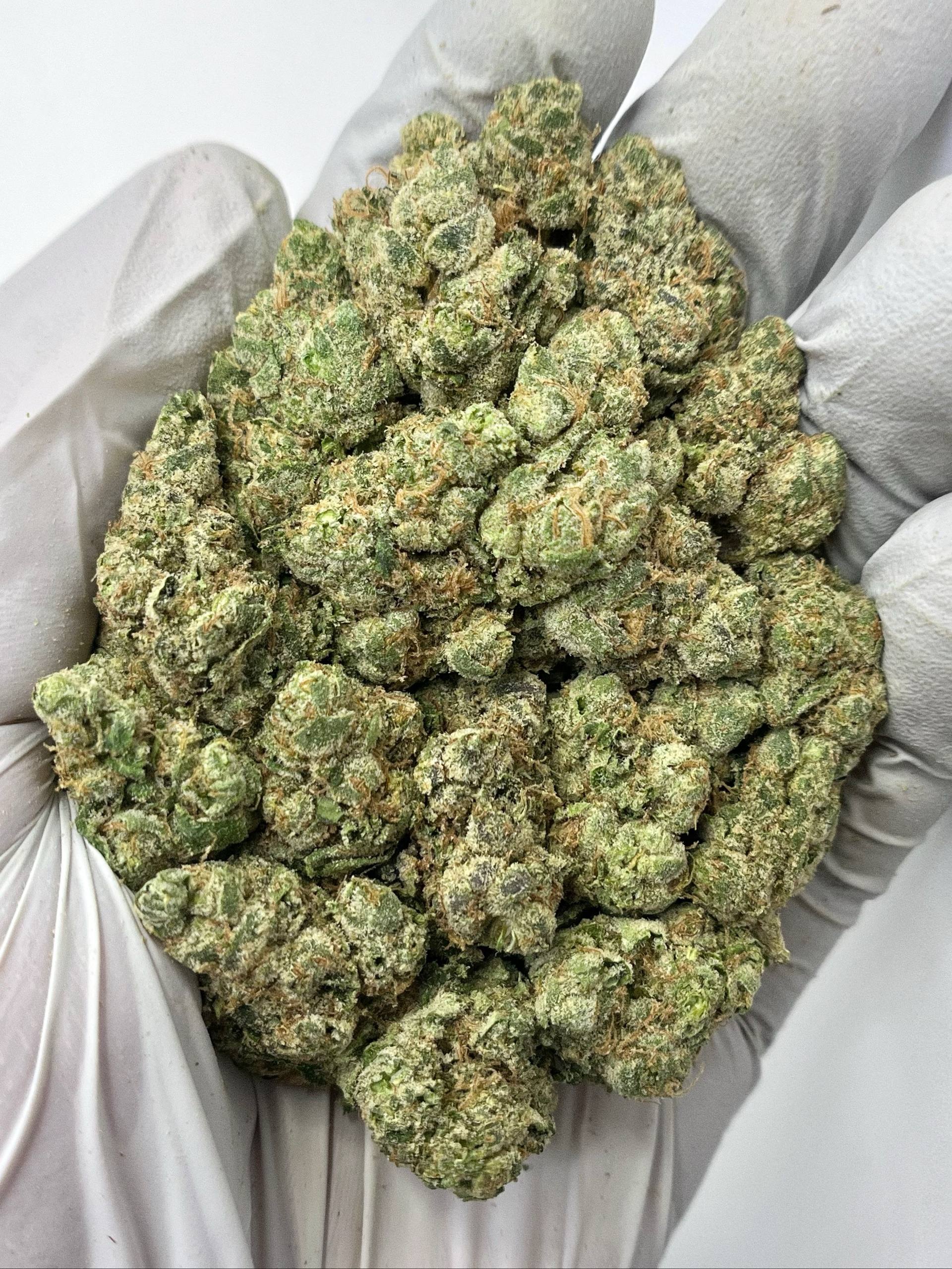 Gelato 41 x Animal Mintz - Damn Good | Legal Cannabis