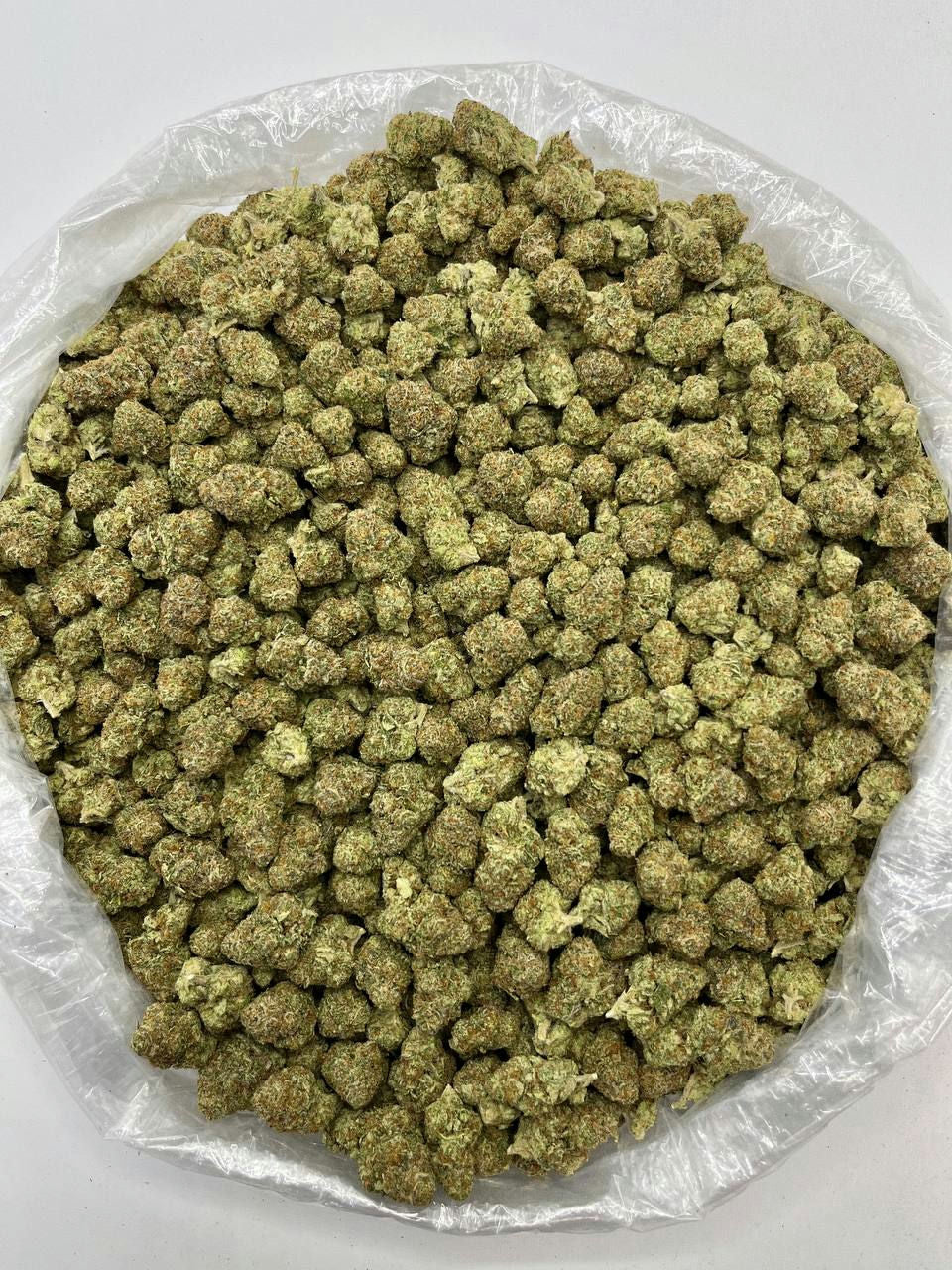 Gelonade - Damn Good | Legal Cannabis