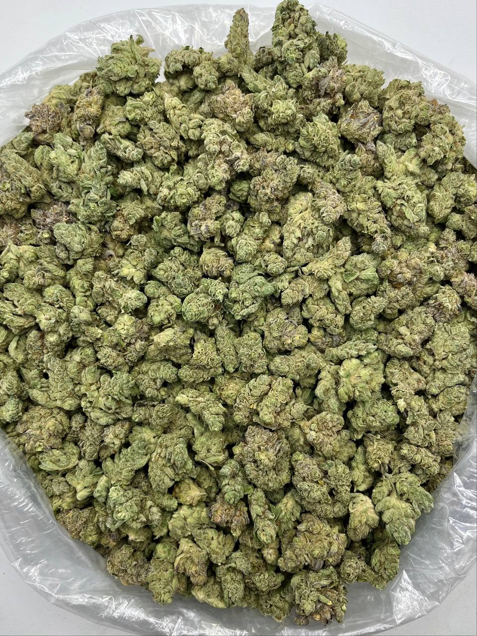 Gorilla Glue #4 - Damn Good | Legal Cannabis