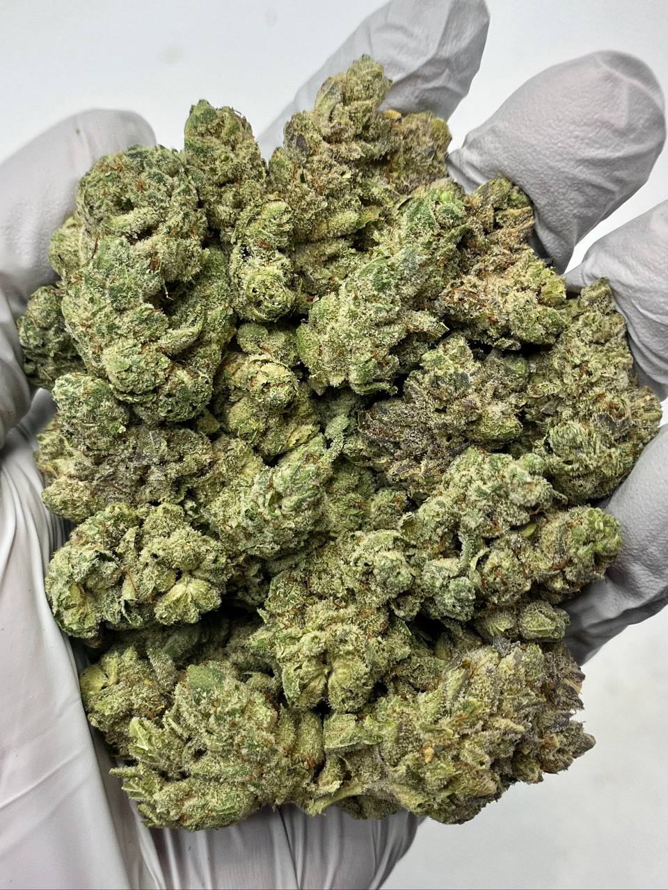 Gorilla Glue #4 - Damn Good | Legal Cannabis