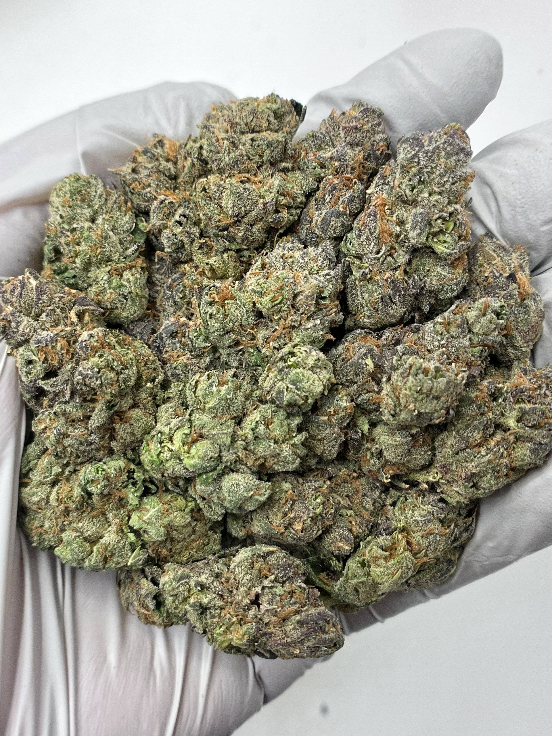 Grape Stomper - Damn Good | Legal Cannabis