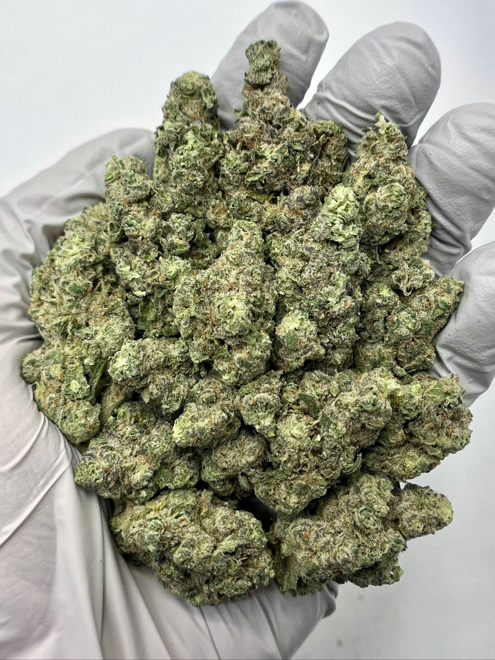 Gush Mintz - Damn Good | Legal Cannabis