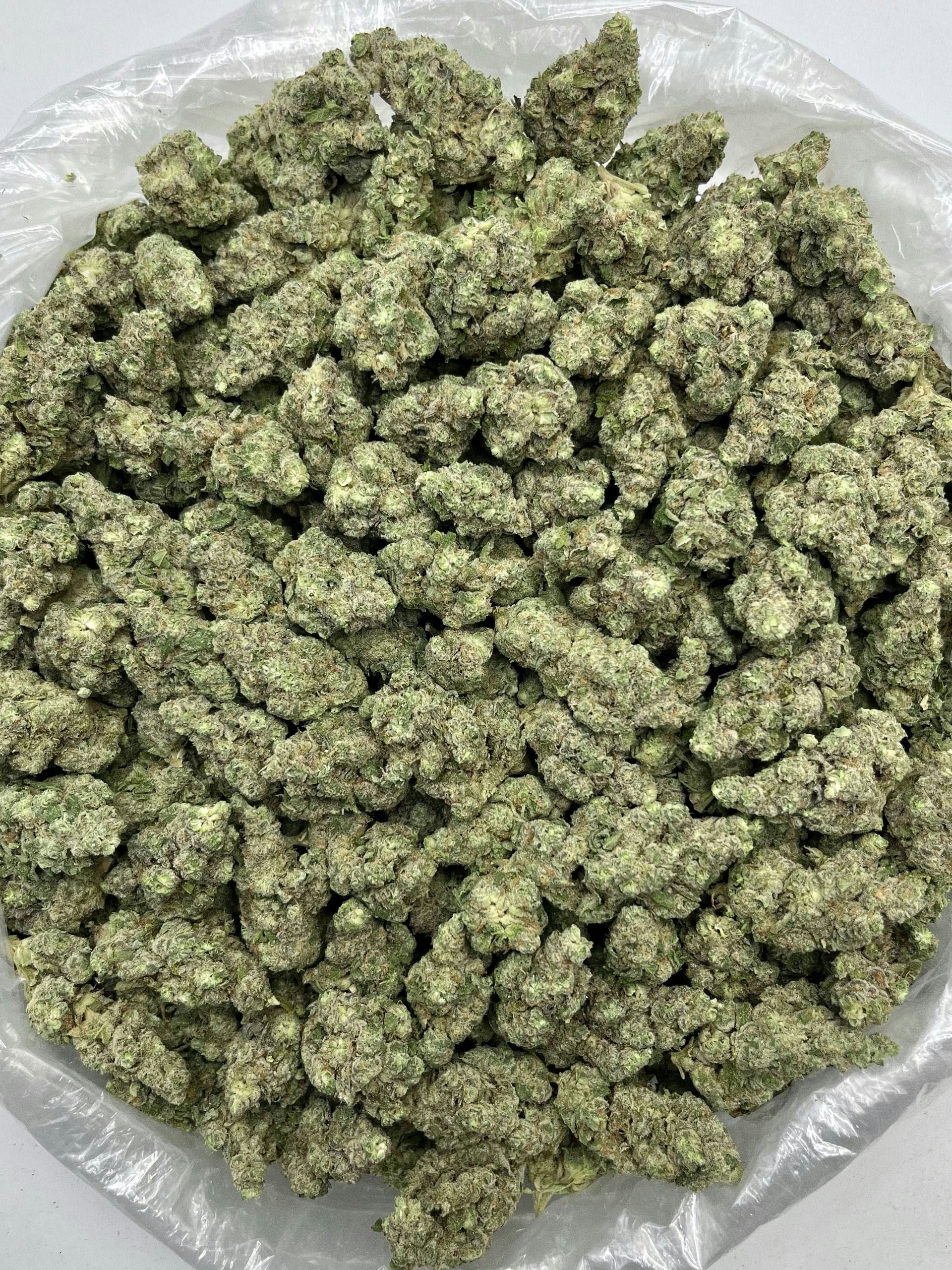 Gush Mintz - Damn Good | Legal Cannabis