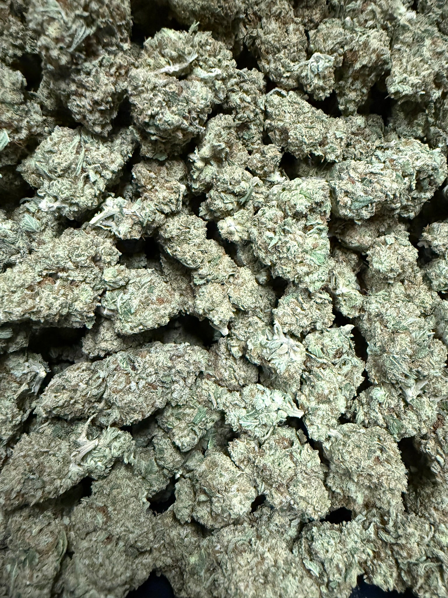 Gusher Mintz - Damn Good | Legal Cannabis