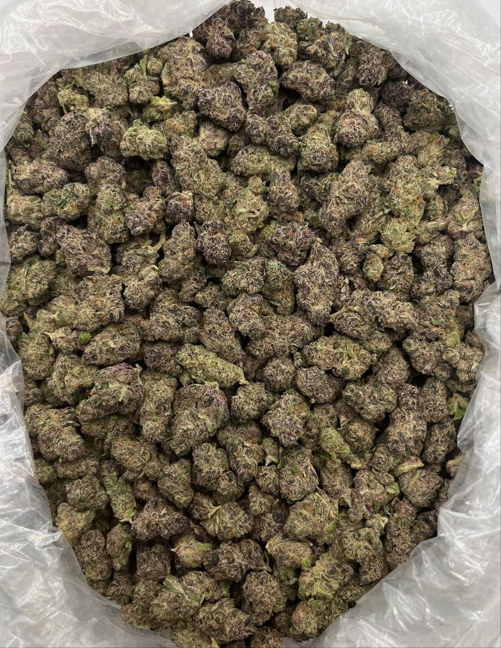 Halle Berry - Damn Good | Legal Cannabis