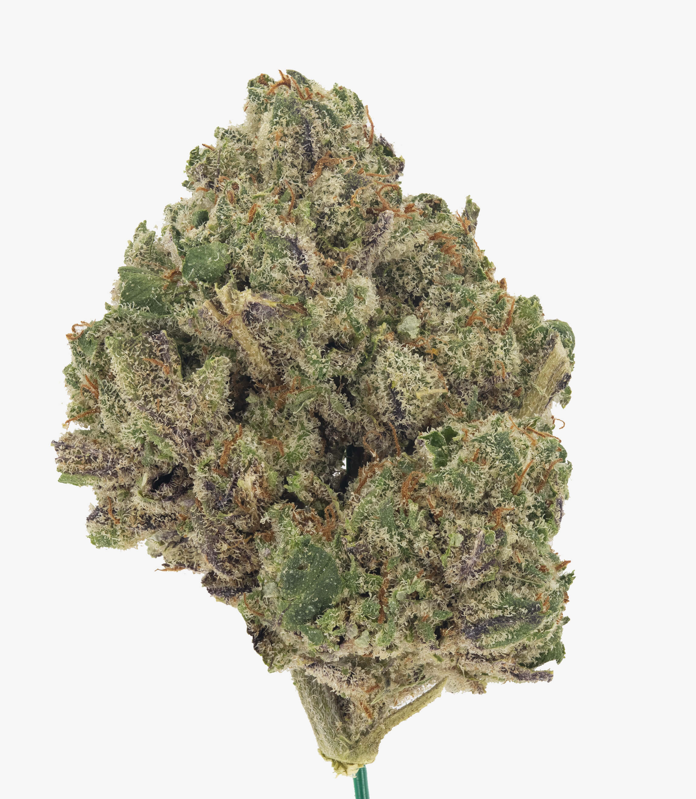 Jokerz Candy - Damn Good | Legal Cannabis