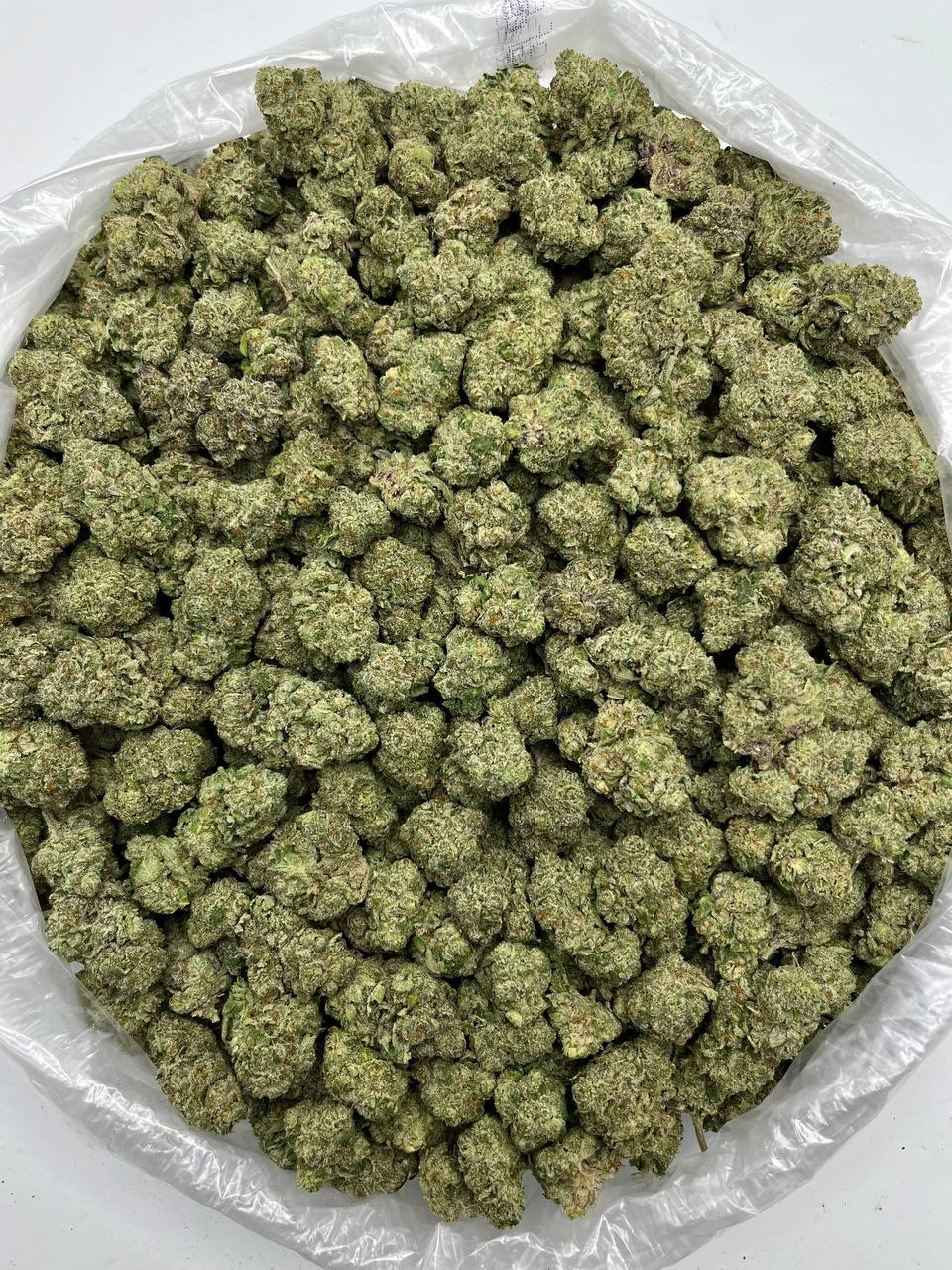 Jokerz Candy - Damn Good | Legal Cannabis