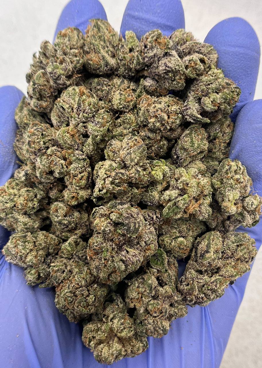 Larry Bird 33 - Damn Good | Legal Cannabis