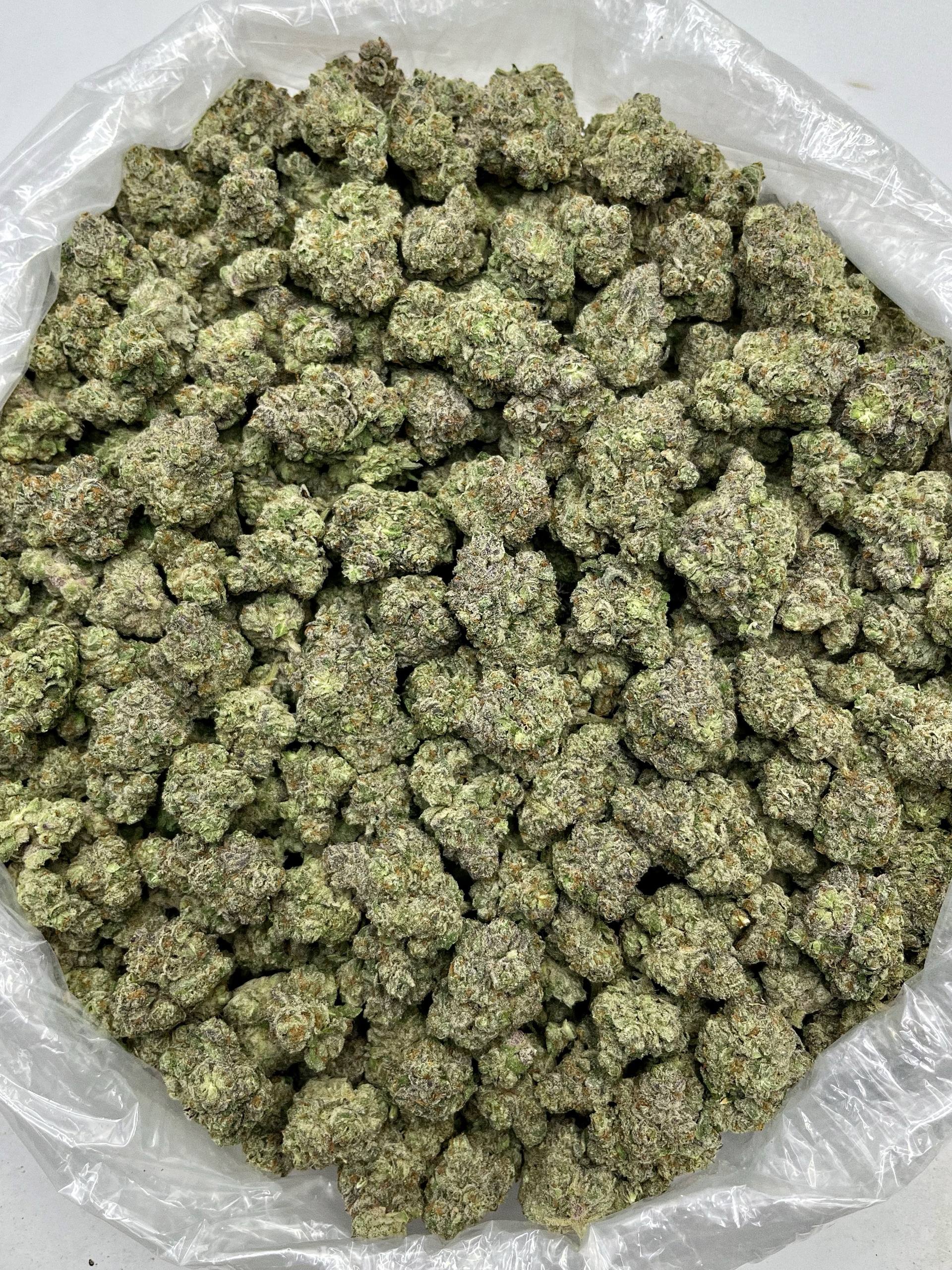 Lemon Freeze - Damn Good | Legal Cannabis