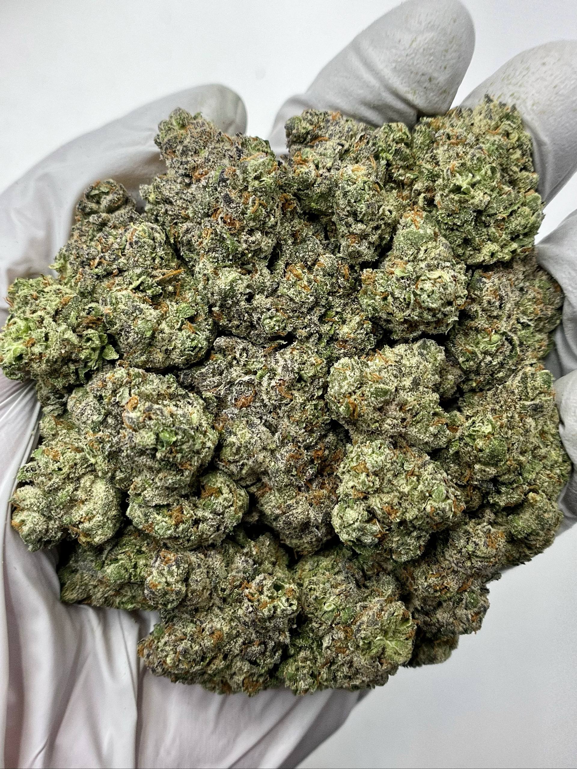 Lemon Freeze - Damn Good | Legal Cannabis