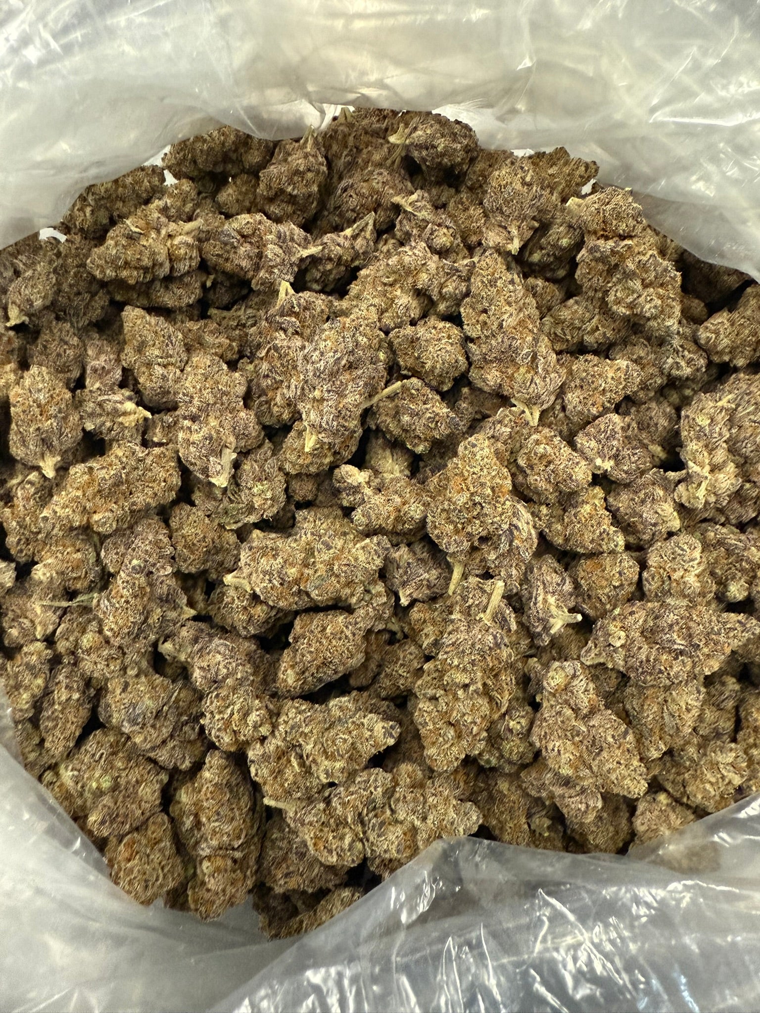 Lizard Burger - Damn Good | Legal Cannabis