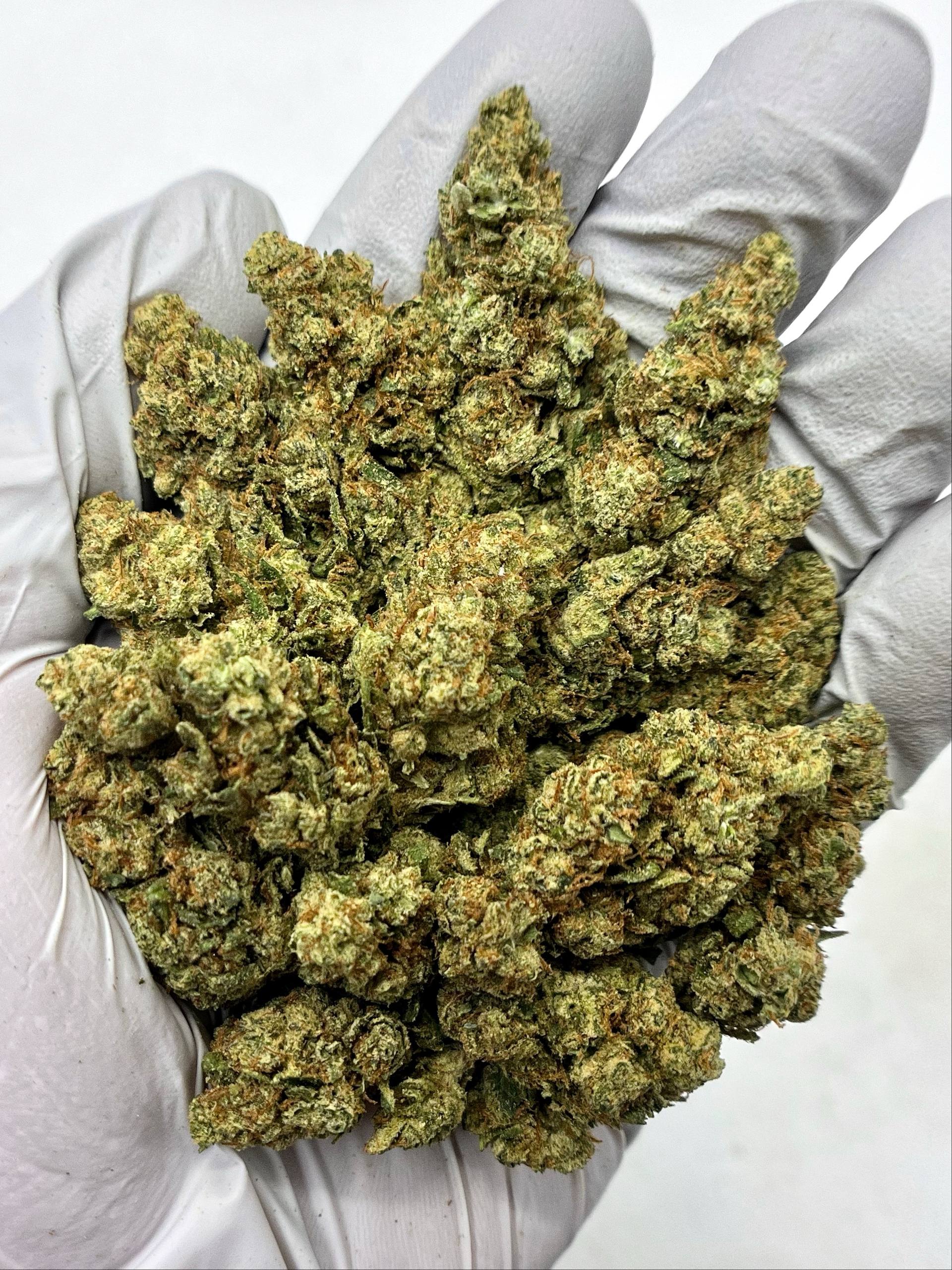 Modern Durban - Damn Good | Legal Cannabis