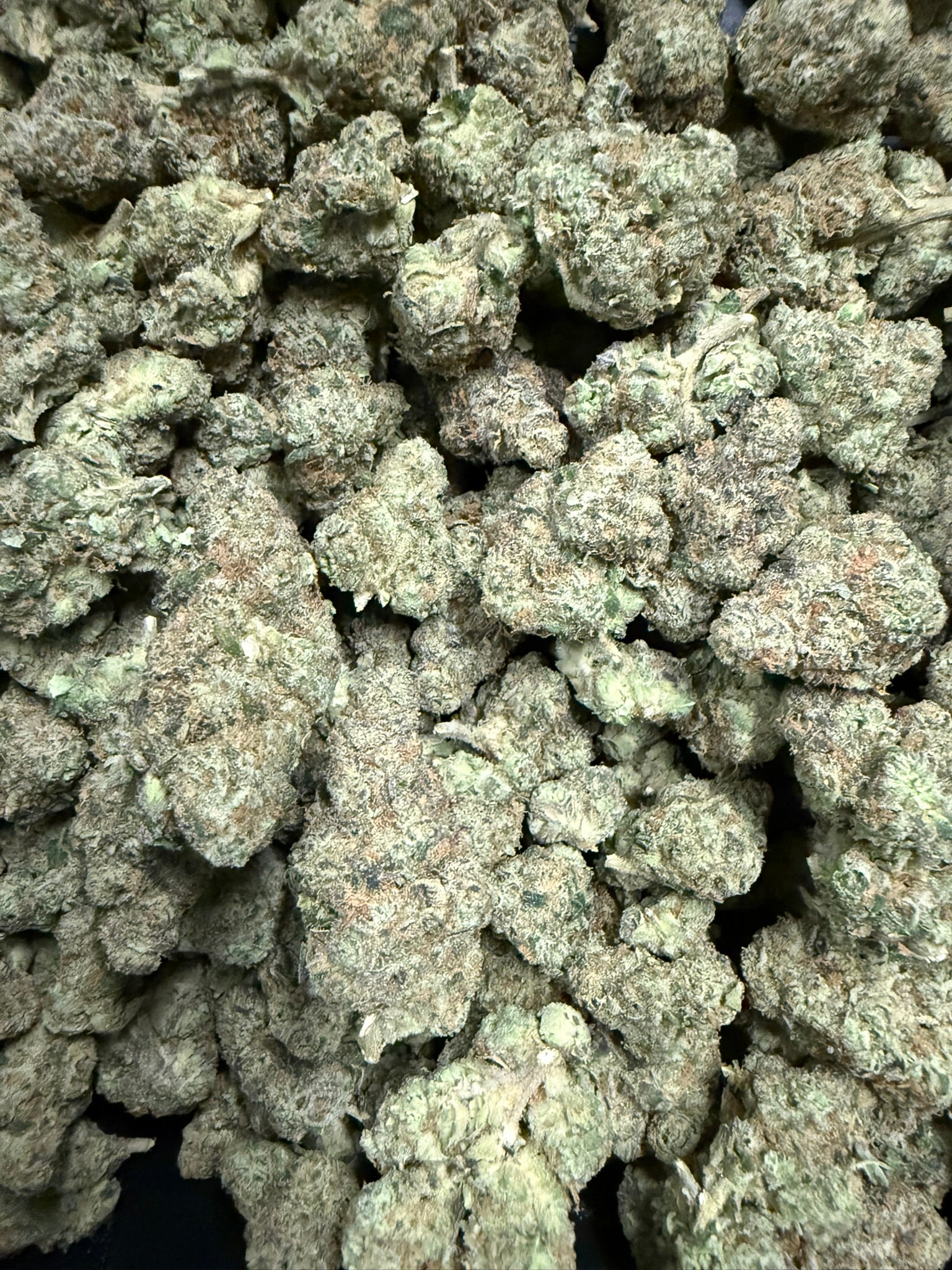 OG Mota - Damn Good | Legal Cannabis