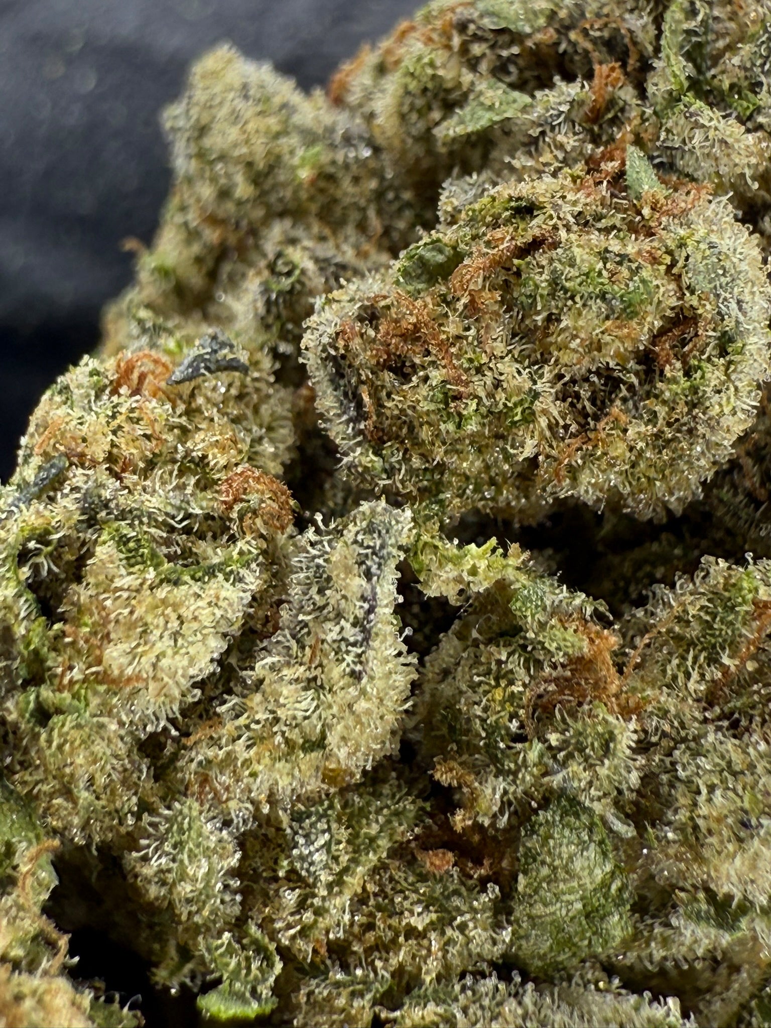 Orange Crush - Damn Good | Legal Cannabis