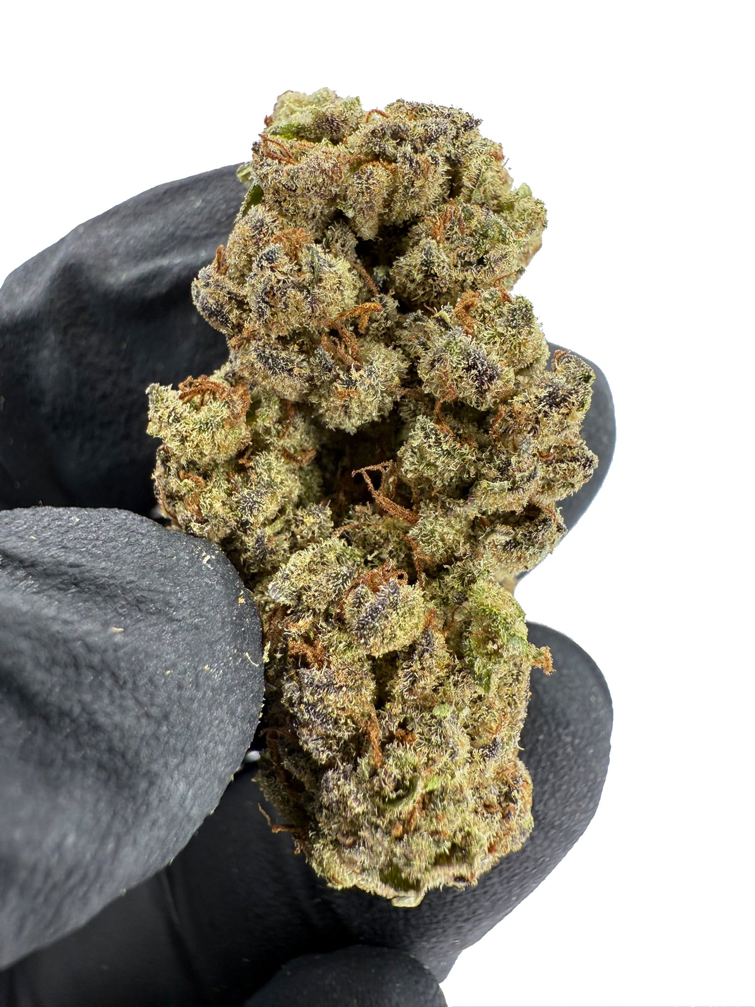 Orange Crush - Damn Good | Legal Cannabis