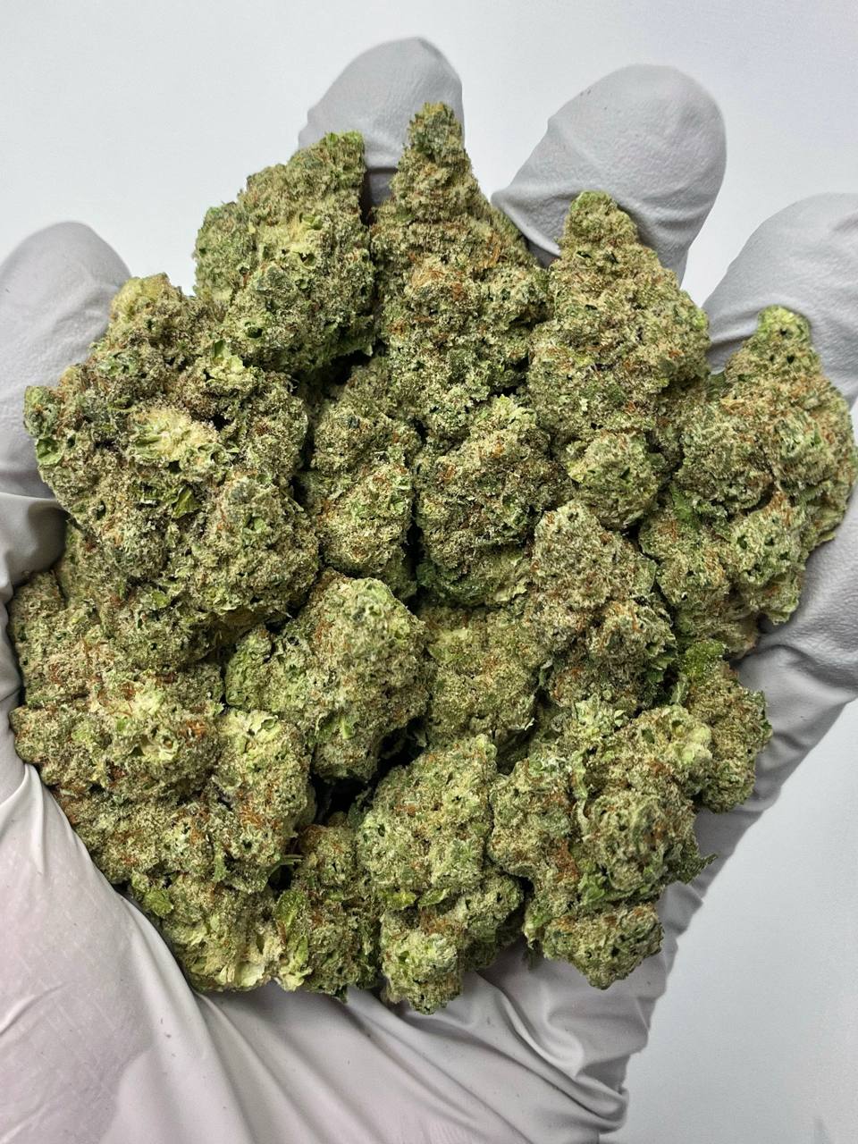 Papaya Bomb - Damn Good | Legal Cannabis