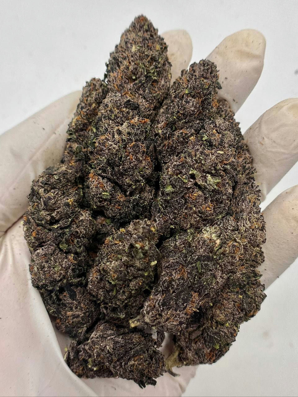 Pave Runtz - Damn Good | Legal Cannabis