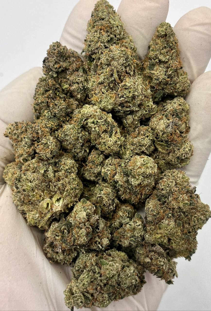 Peach Rings - Damn Good | Legal Cannabis