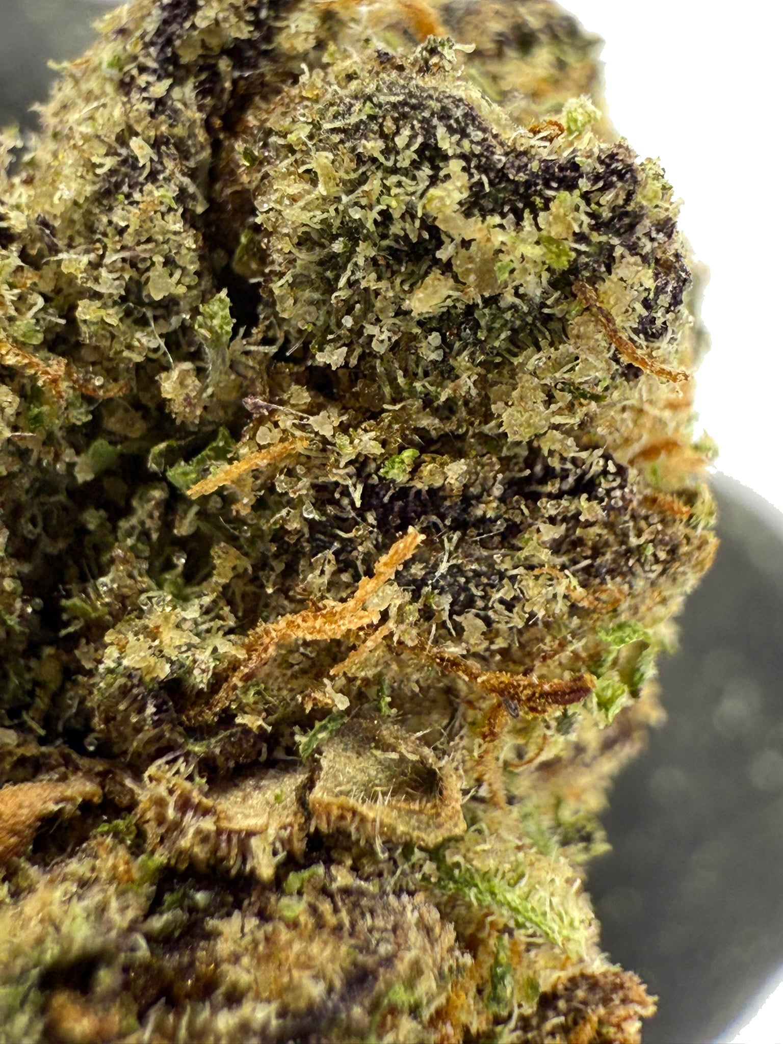 Pink Runtz - Damn Good | Legal Cannabis