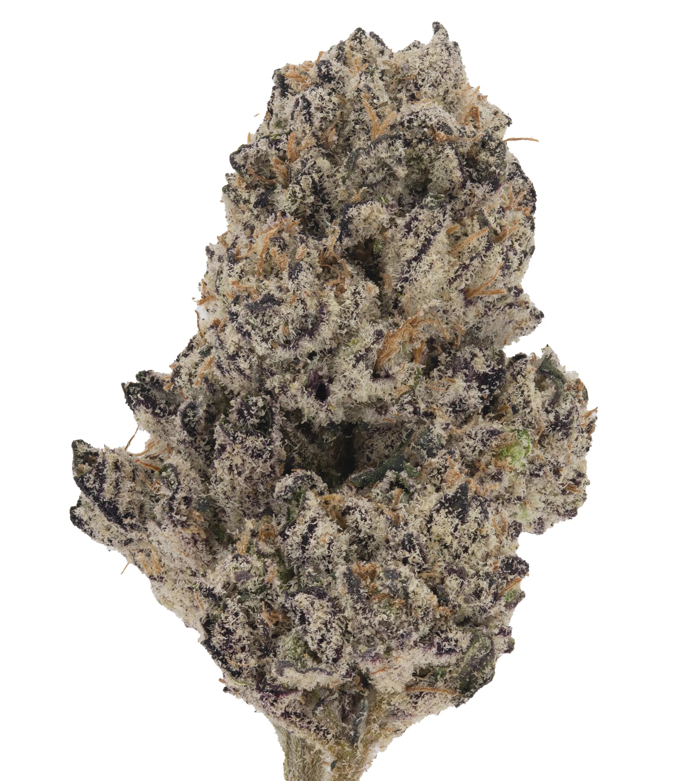 Purple Frost - Damn Good | Legal Cannabis