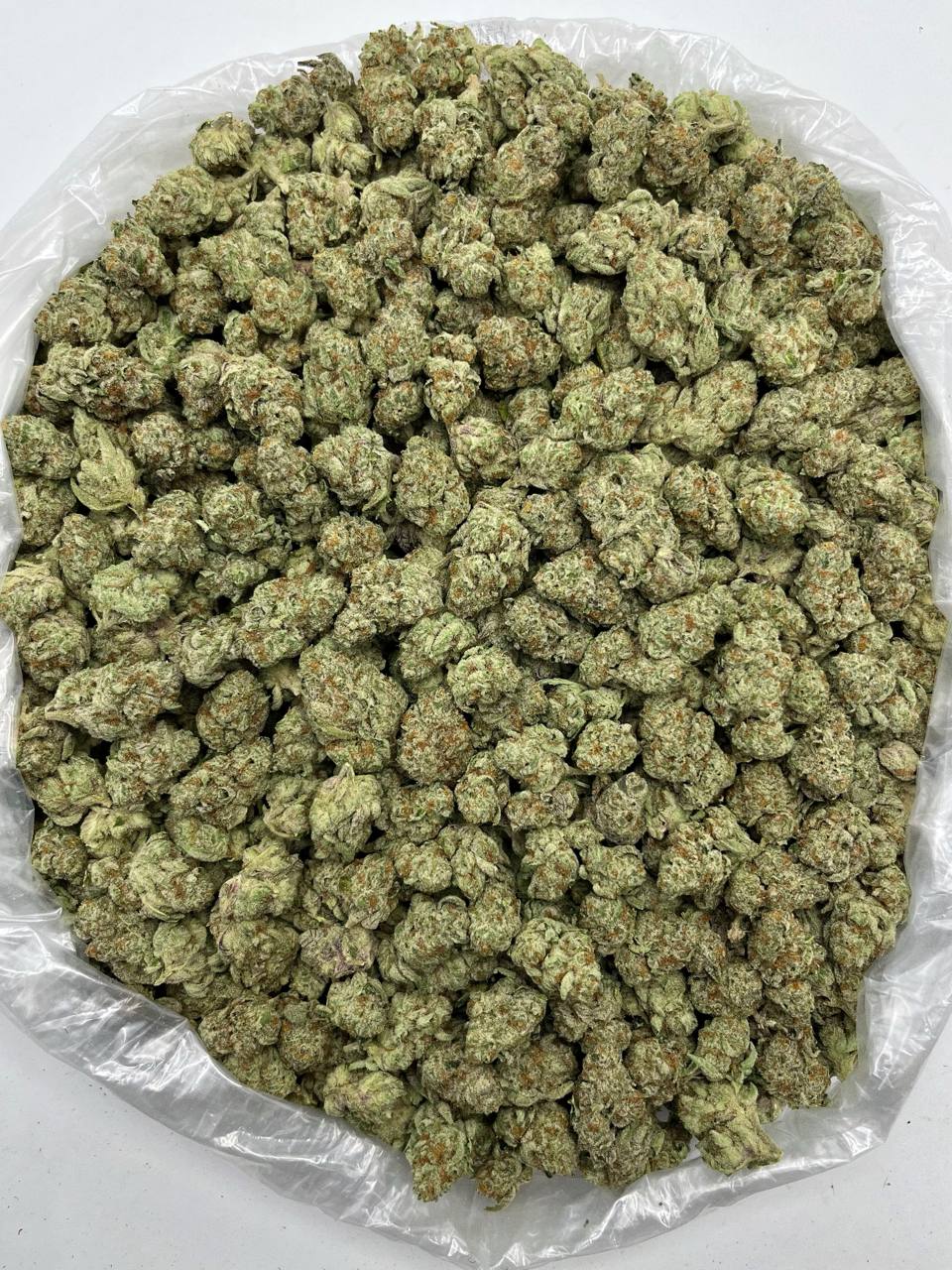 Purple Peanut Butter - Damn Good | Legal Cannabis