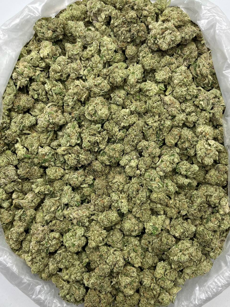 Purple Push Pop x Cap Junky - Damn Good | Legal Cannabis