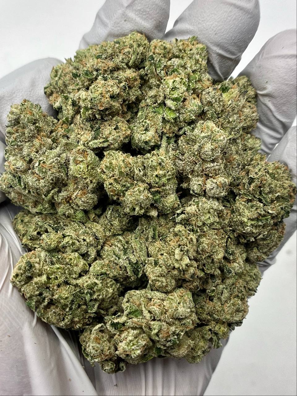 Purple Push Pop x Cap Junky - Damn Good | Legal Cannabis