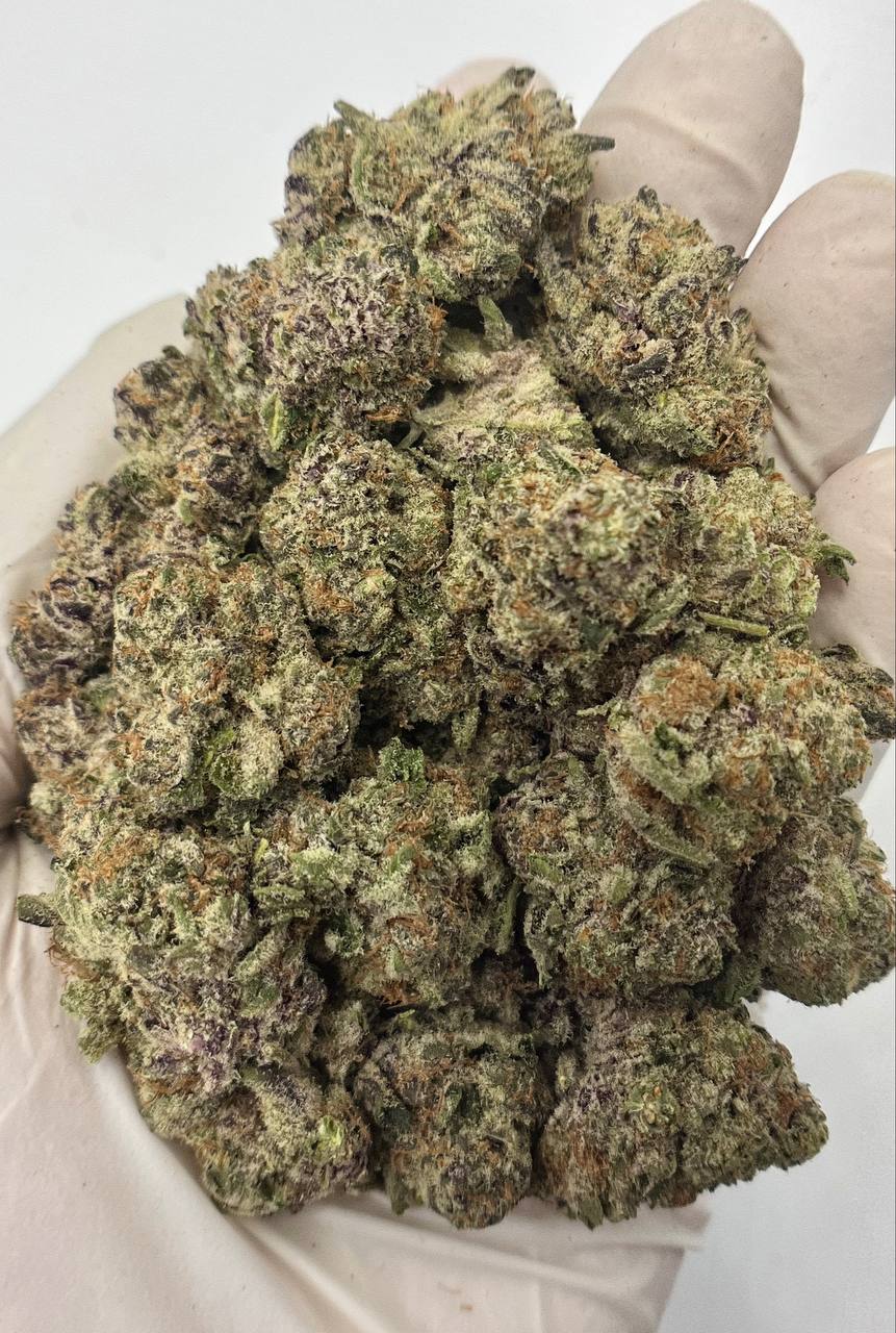 Purple Urkle - Damn Good | Legal Cannabis