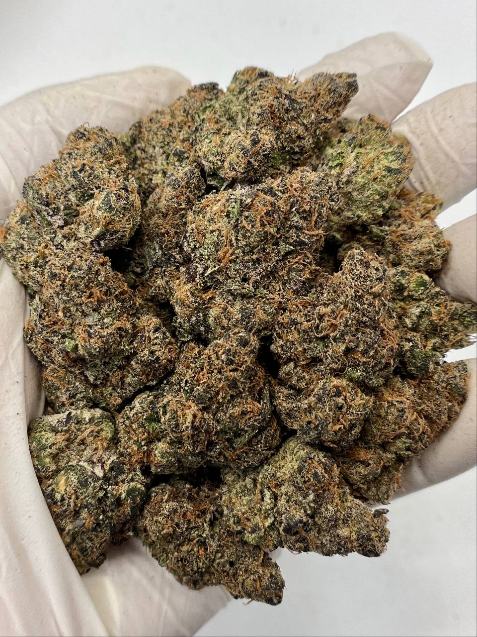 Rainbow Inferno - Damn Good | Legal Cannabis