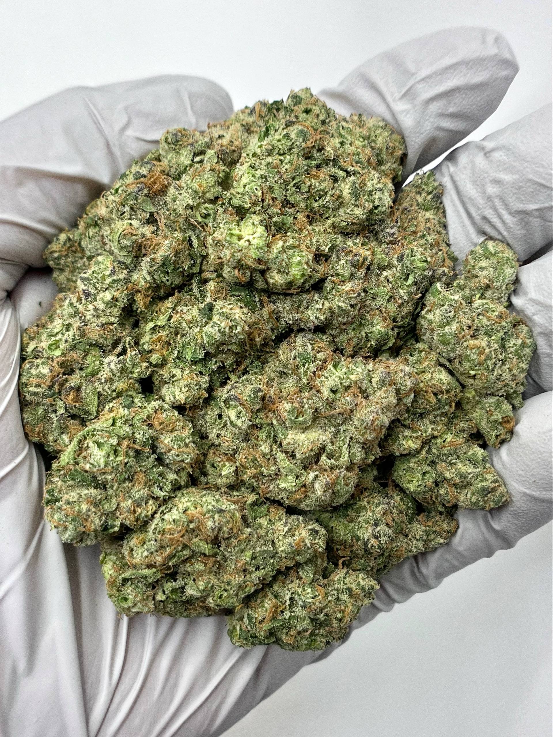 Rainbow Inferno - Damn Good | Legal Cannabis