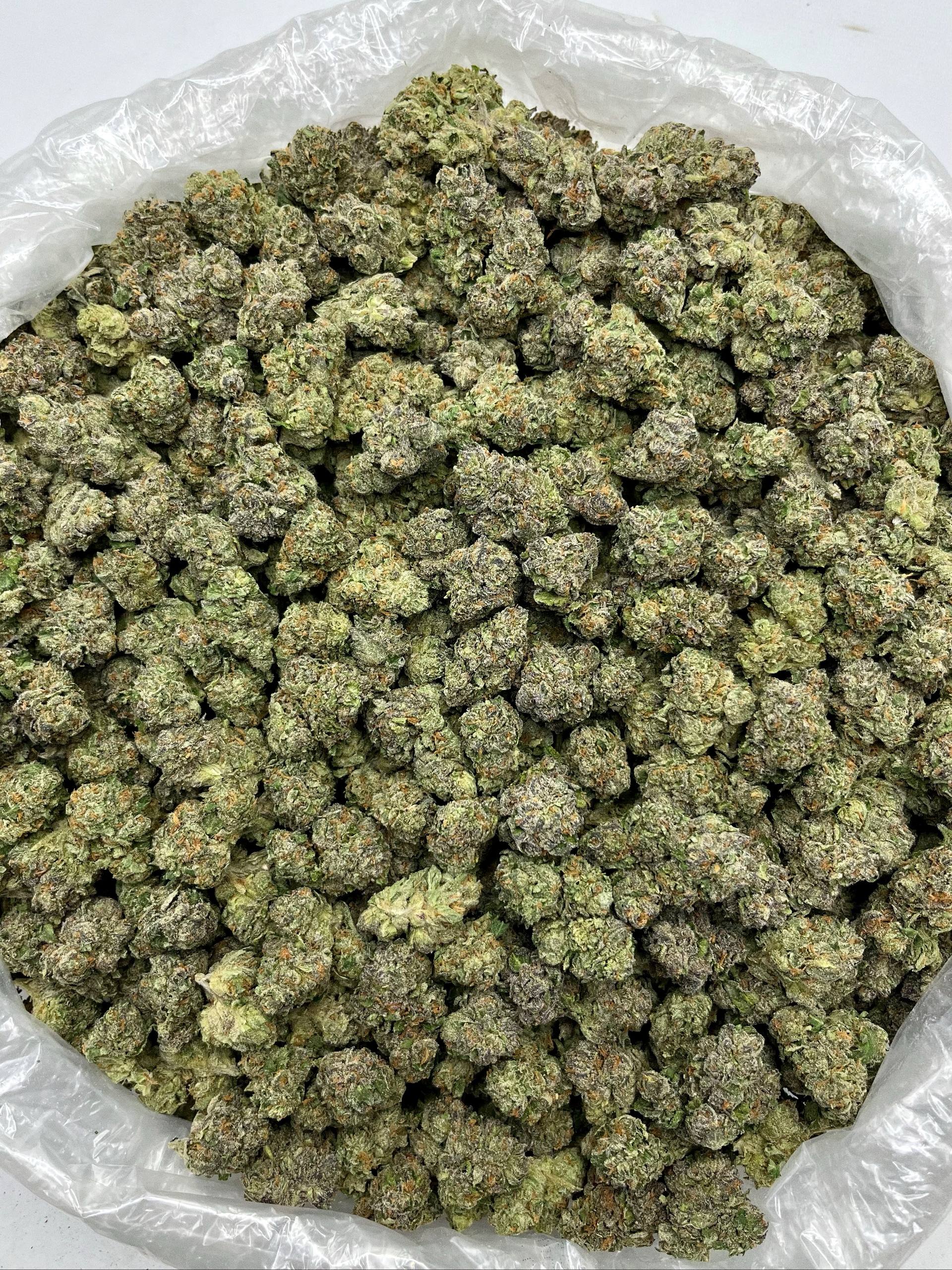 Red Haze 41 - Damn Good | Legal Cannabis