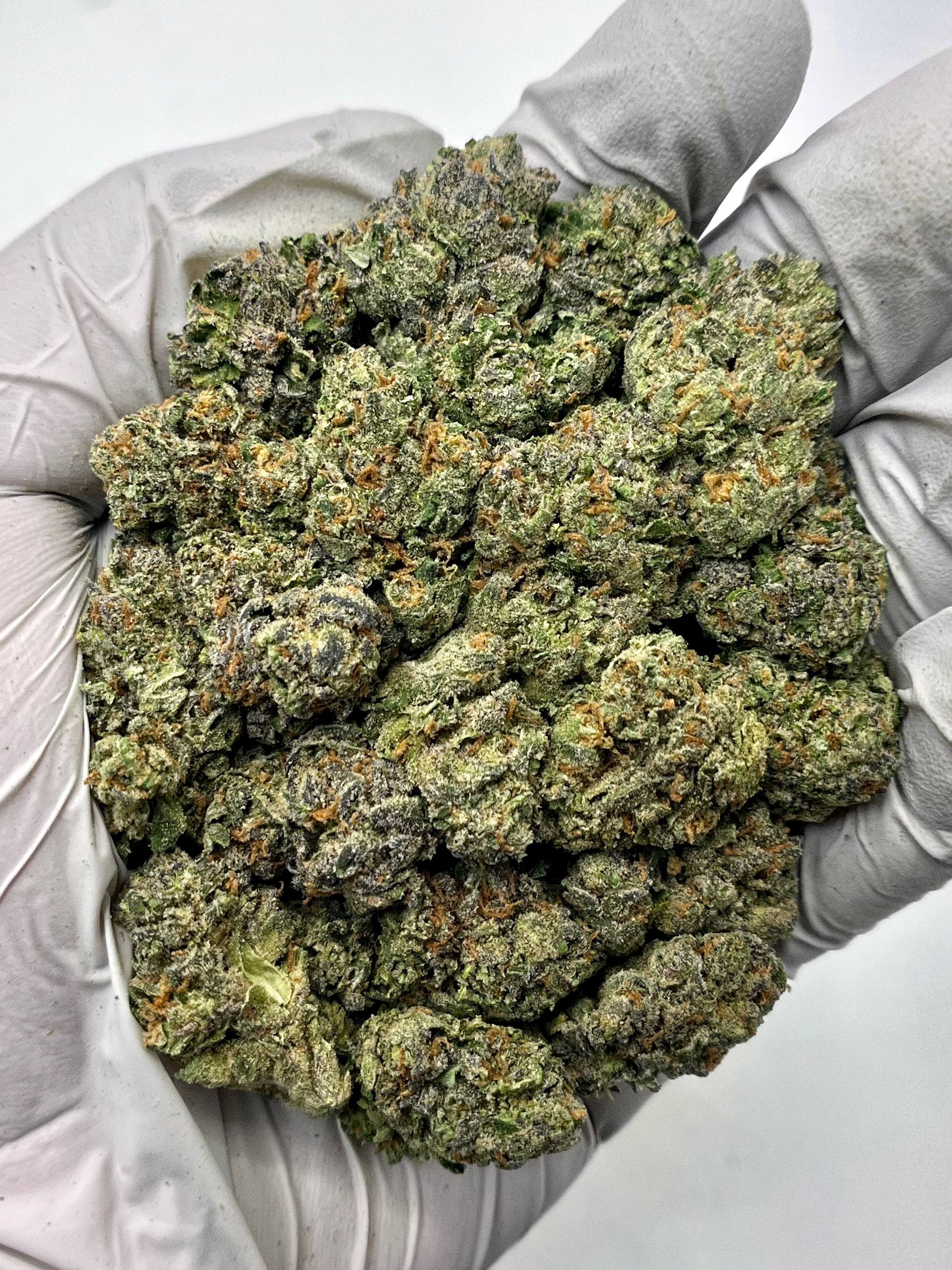 Red Haze 41 - Damn Good | Legal Cannabis